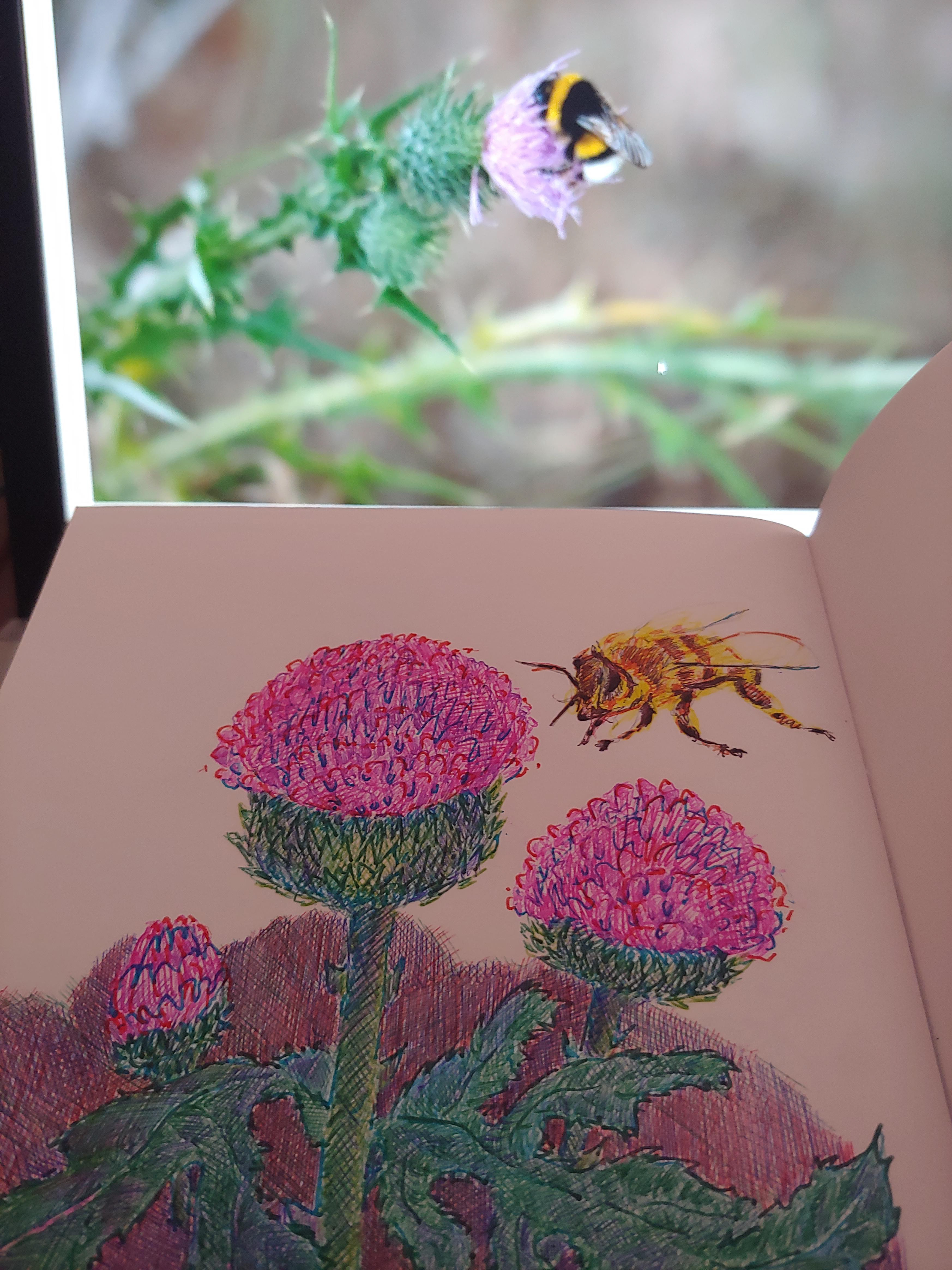 Studio/Atelier- Naikari Díaz