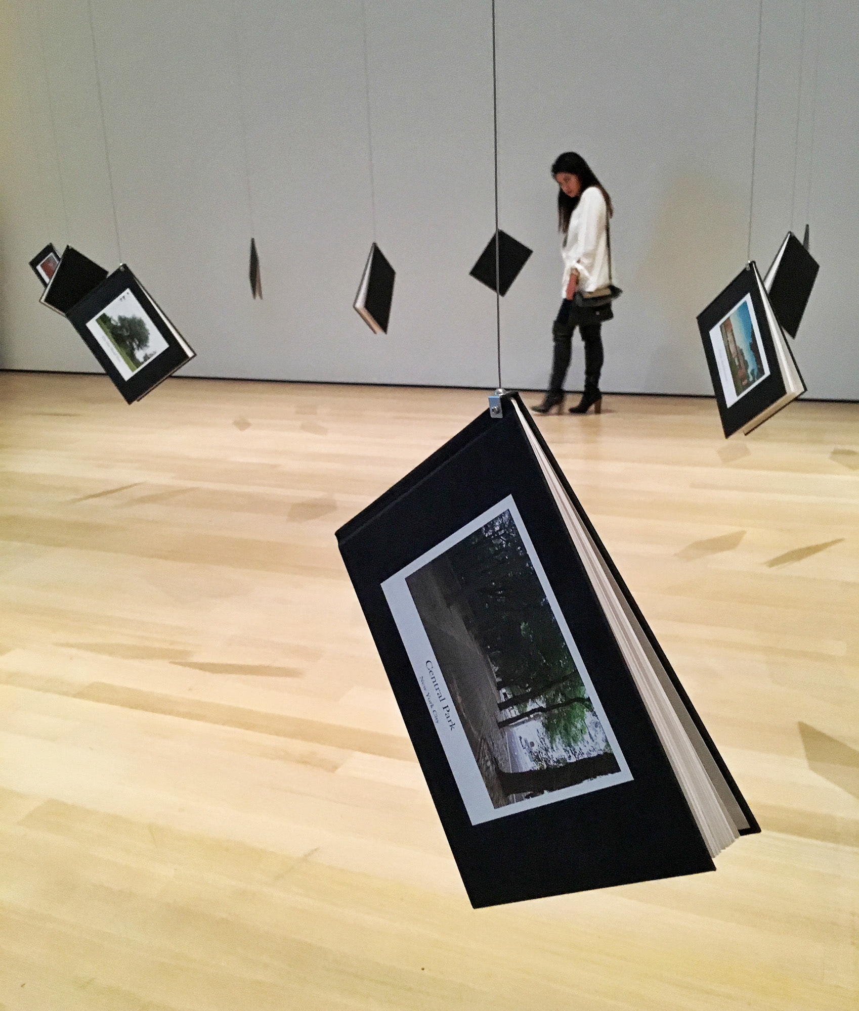 Stephen Shore at MOMA