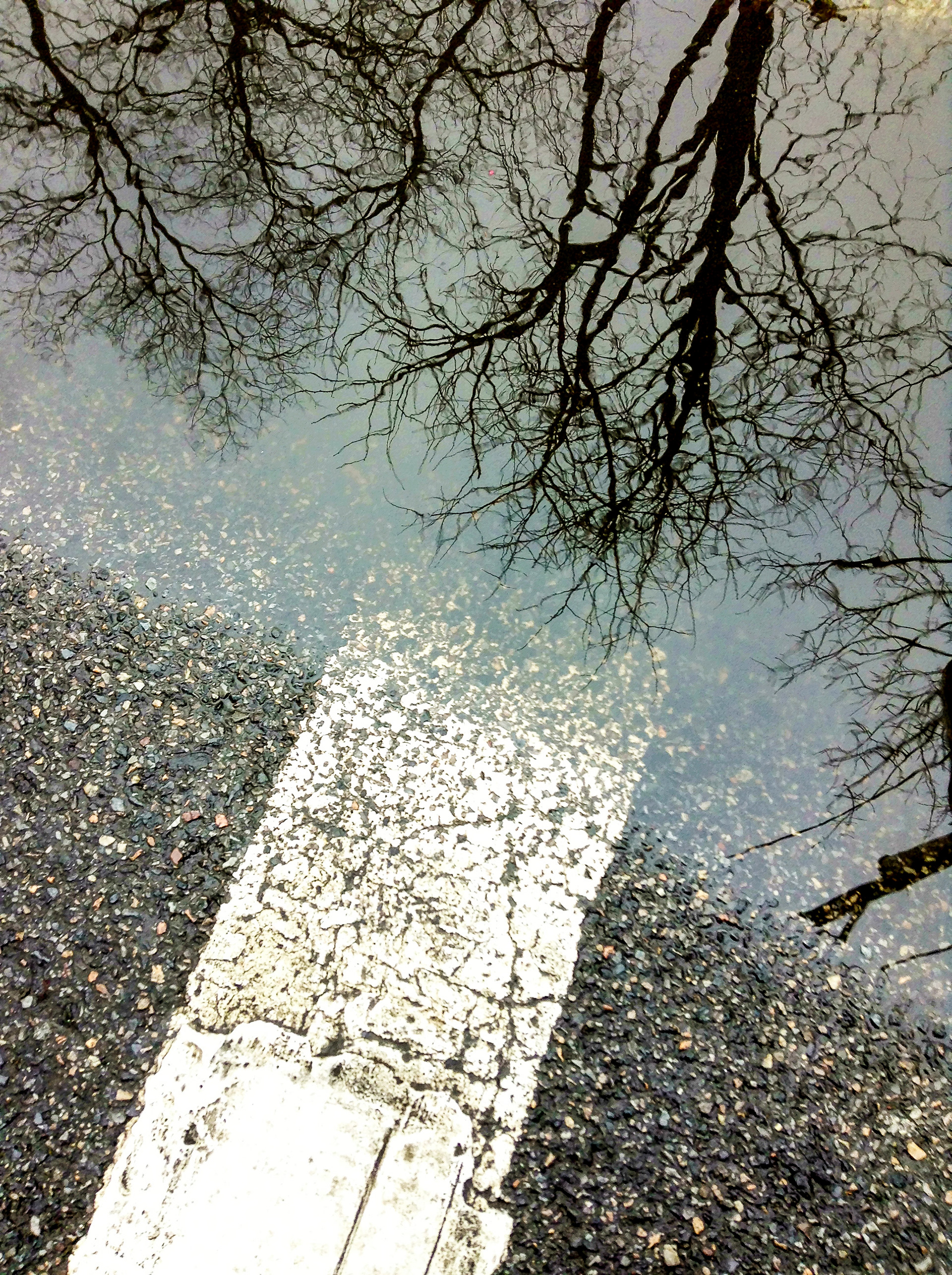 Puddle Reflection 3