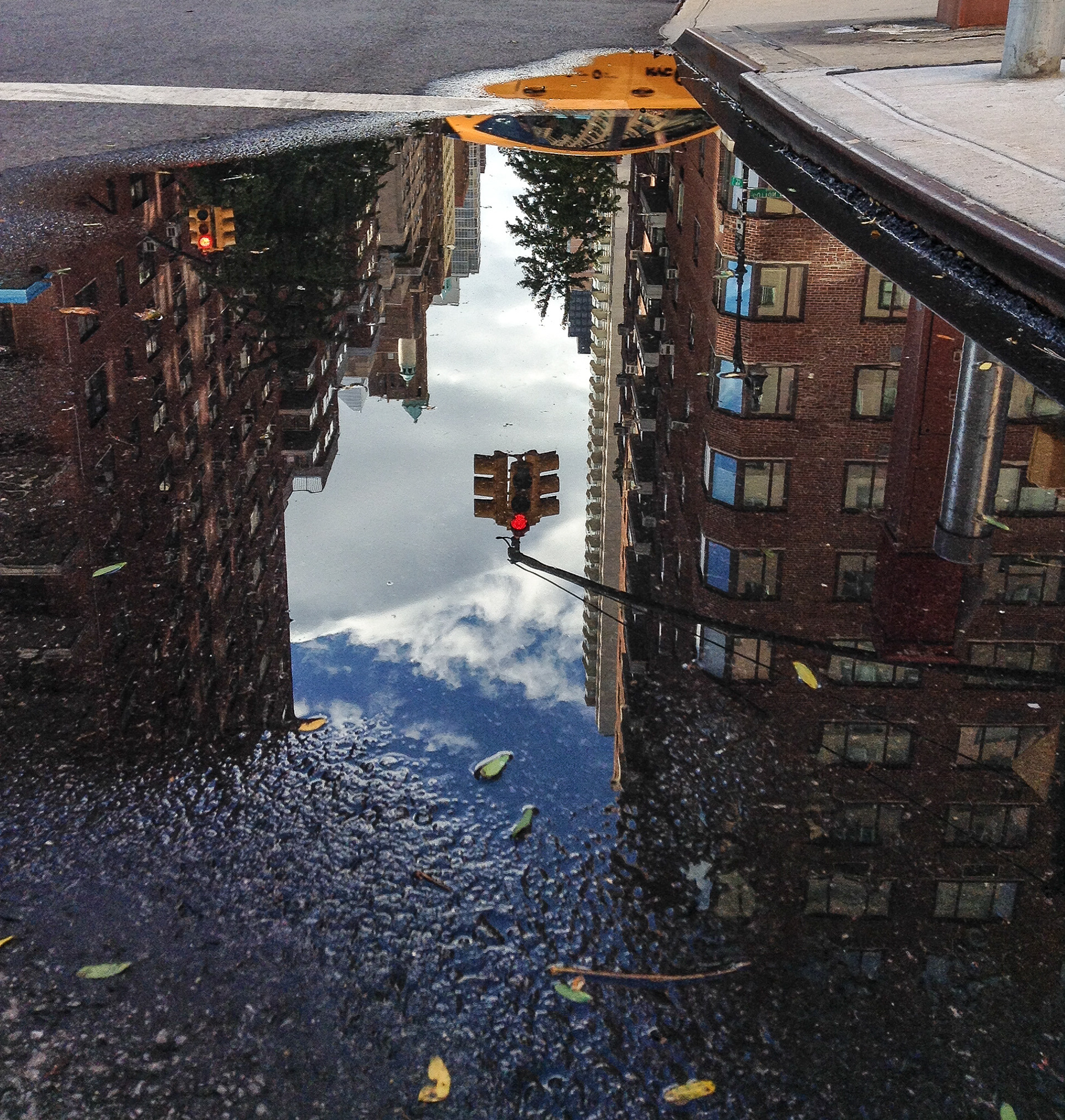 Puddle Reflection 4