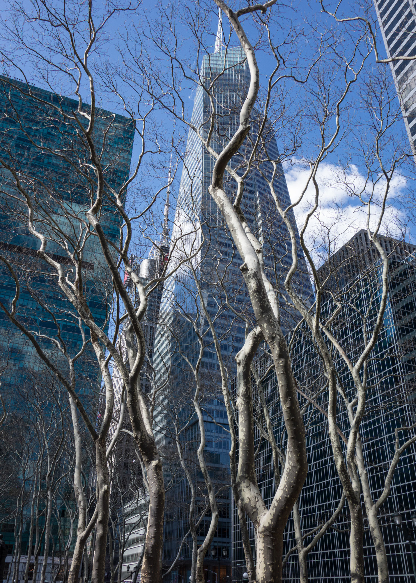 Bryant Park Bare Trees