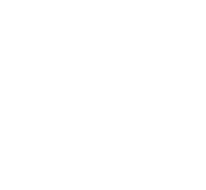 Brian Kao