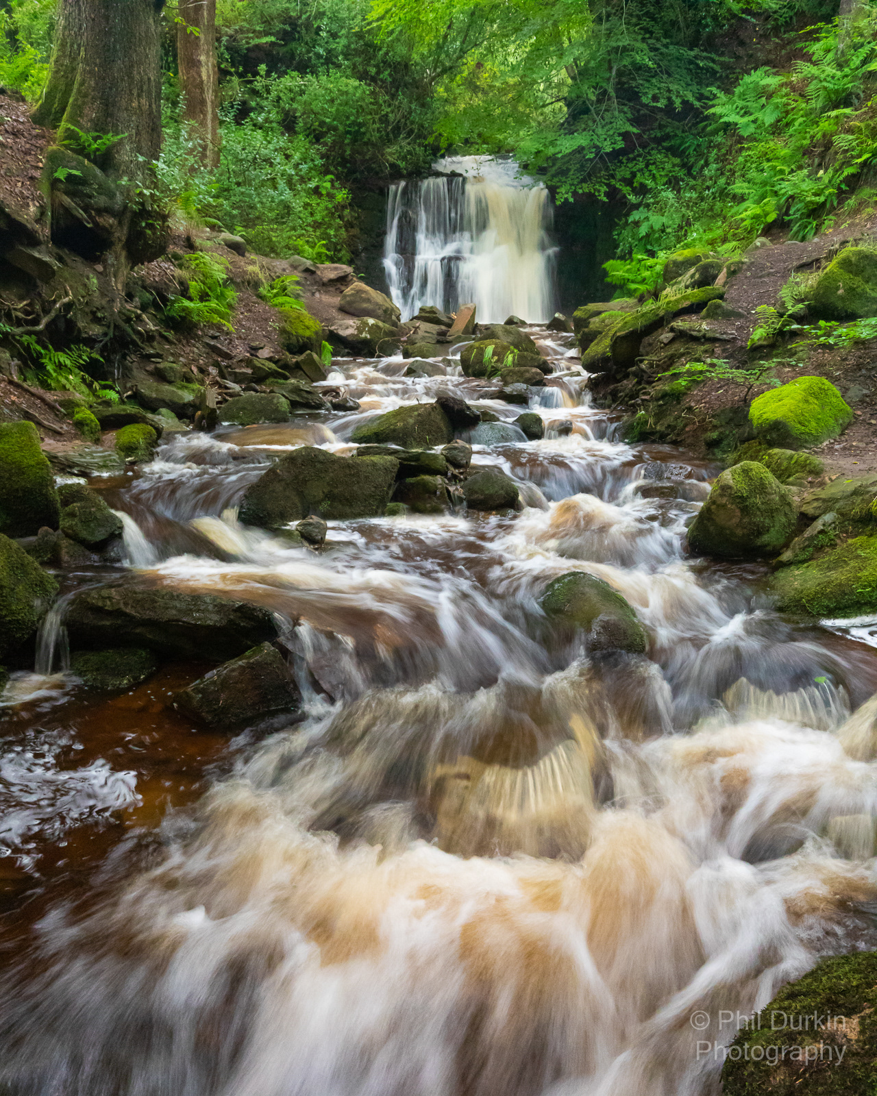 Tigers Clough Rivington - Bolton