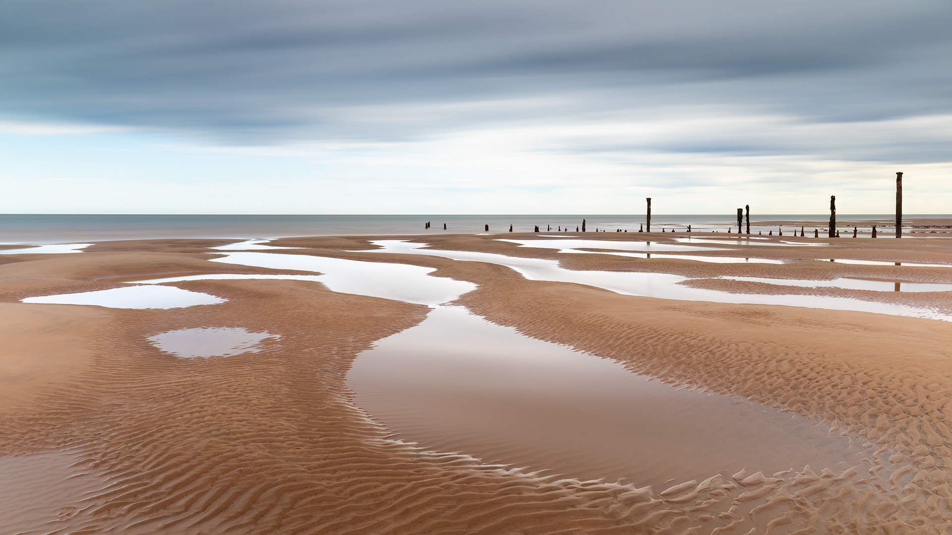 Exposed - Spurn Point