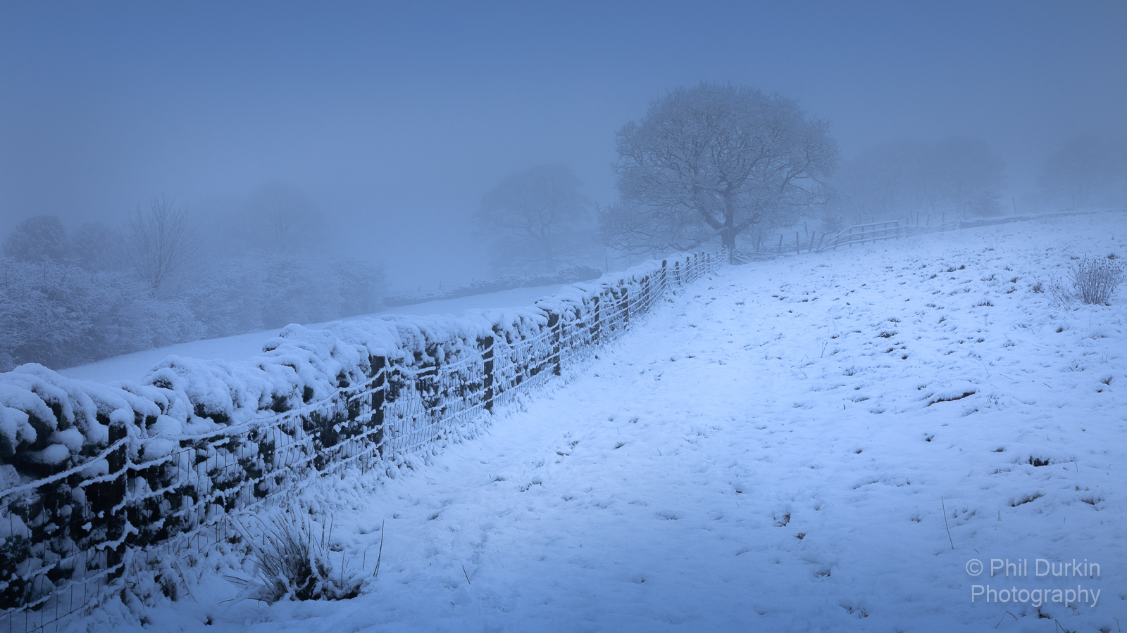 The Blue Hour - Harwood Bolton