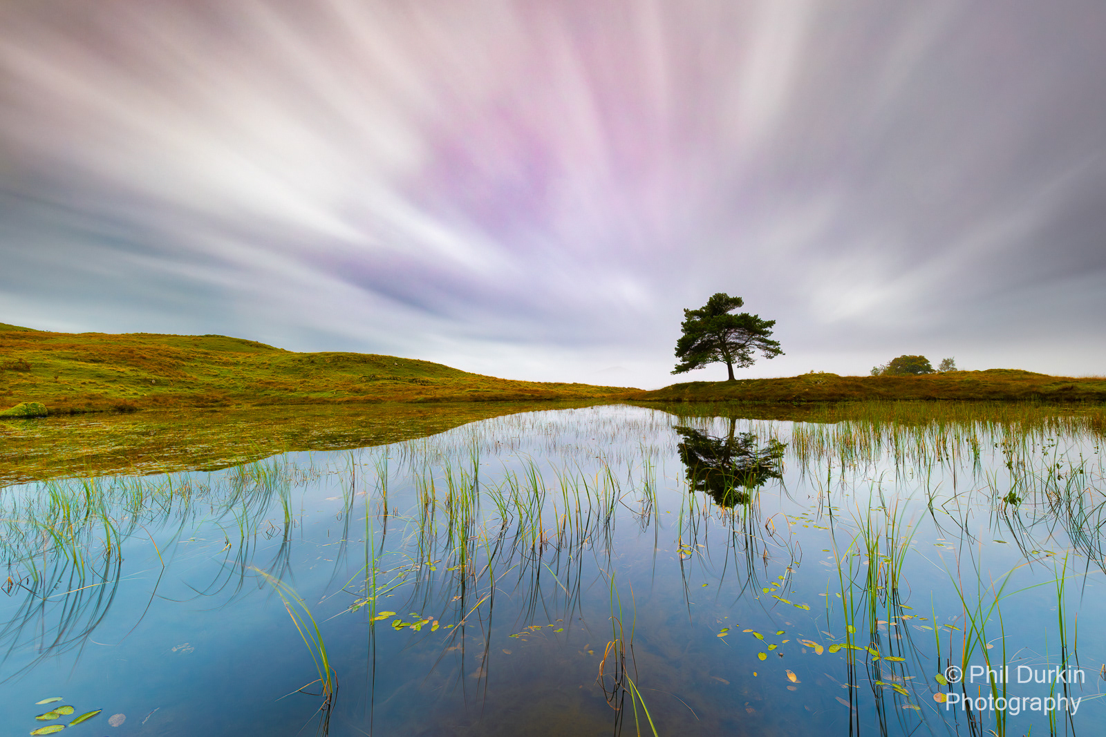 Cook For 3 Minutes Until Done - Kelly Hall Tarn LE