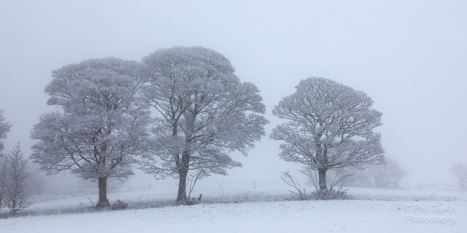 The Three Oaks - Harwood Bolton