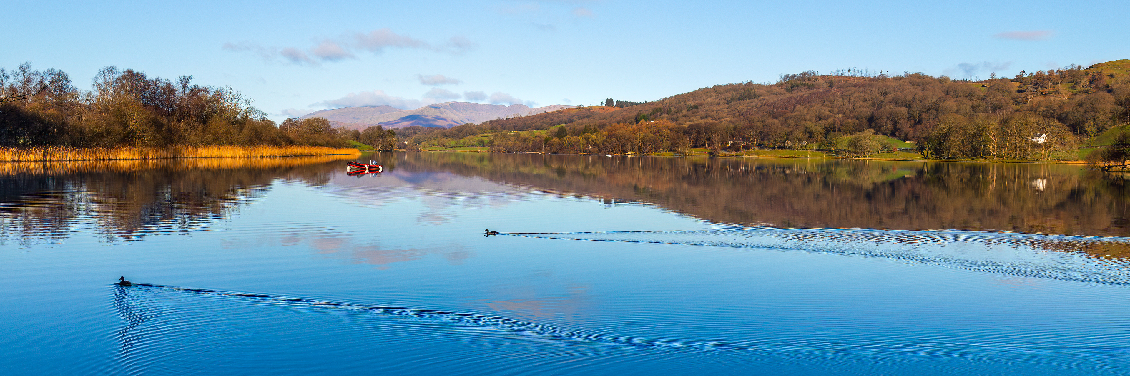 Esthwaite Tranquillity Extreme Pano Jan 2024 