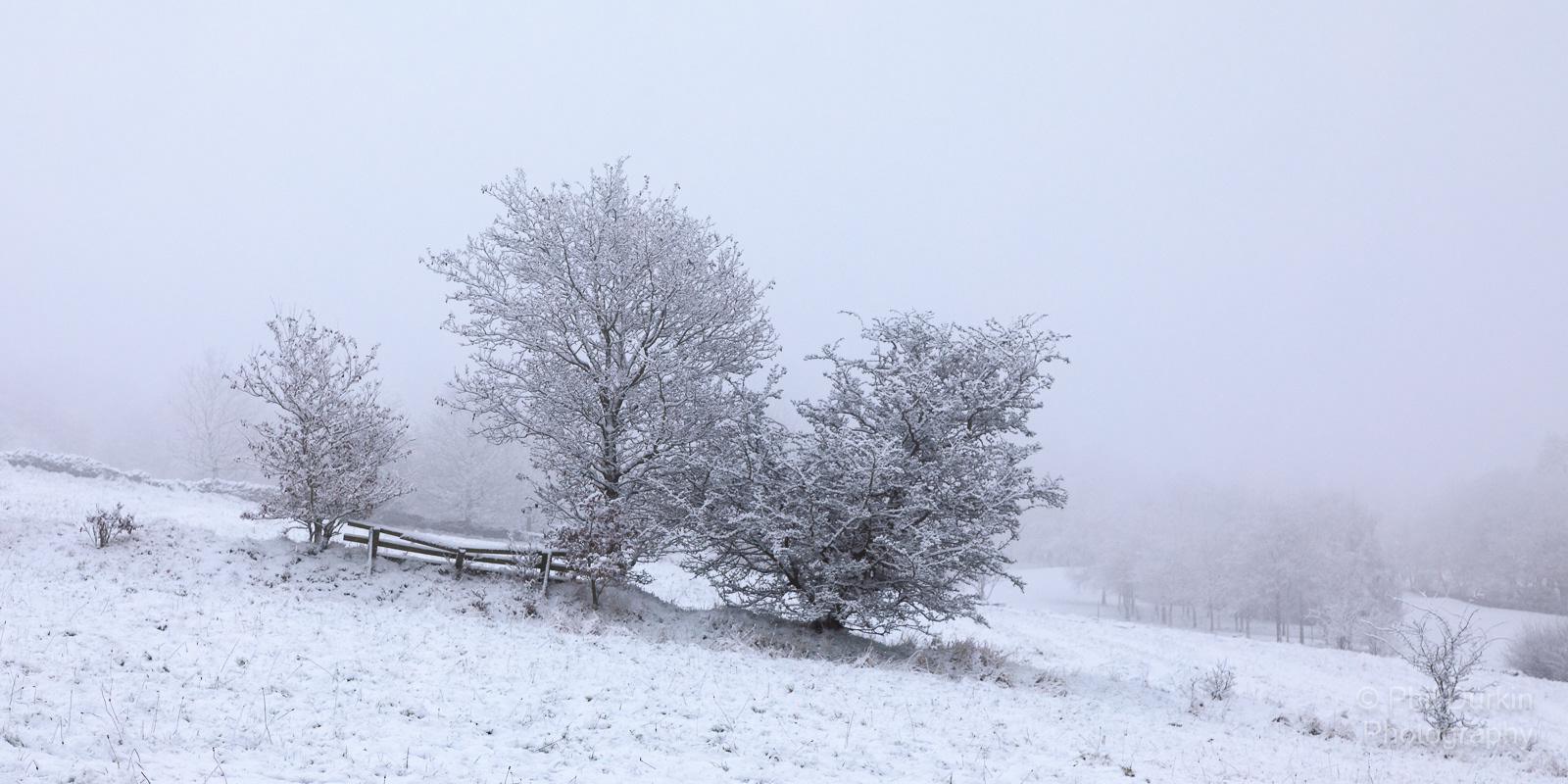 Mid Morning Mist Harwood Bolton