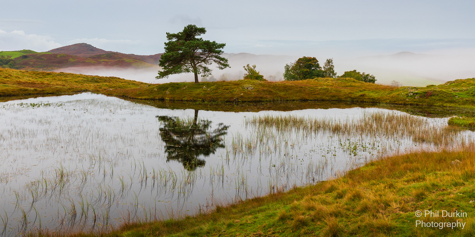 High Vantage Point Overlooking Kelly Hall Tarn