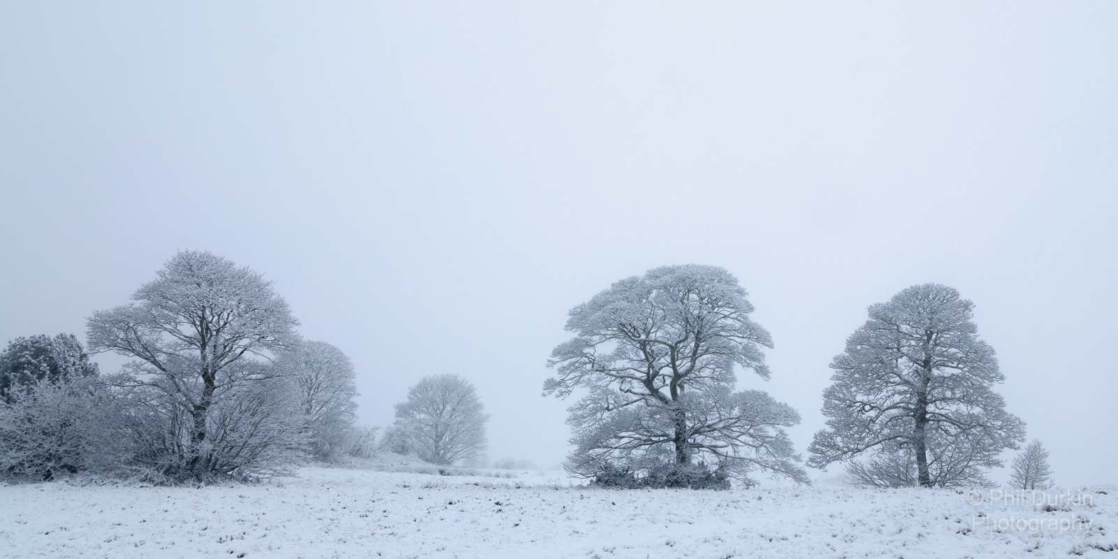 Foggy Morning - Harwood Bolton