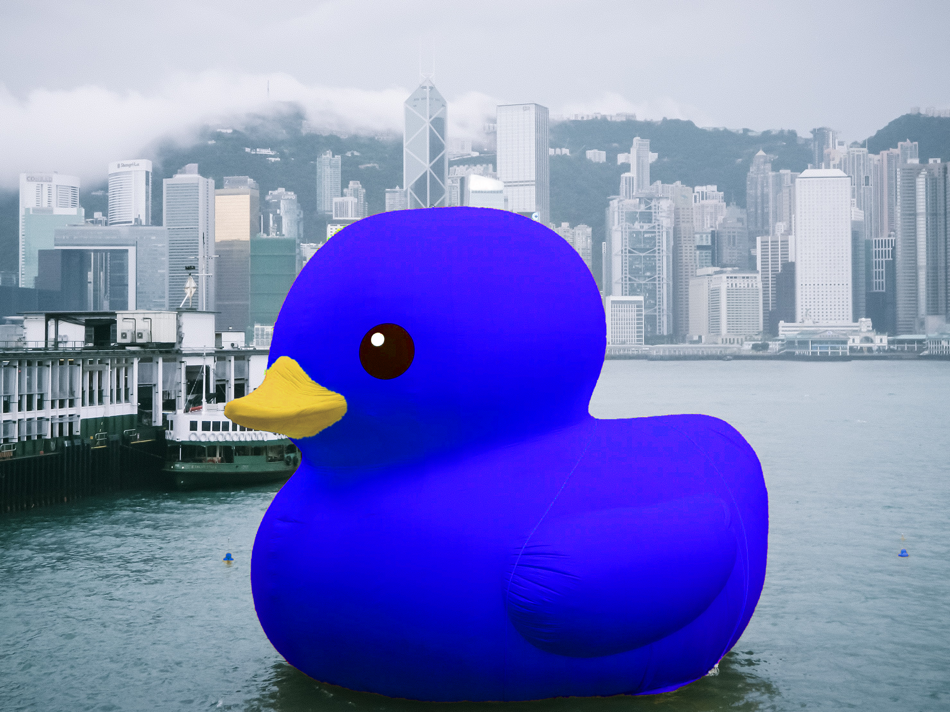 Giant Blue Duck Promtion