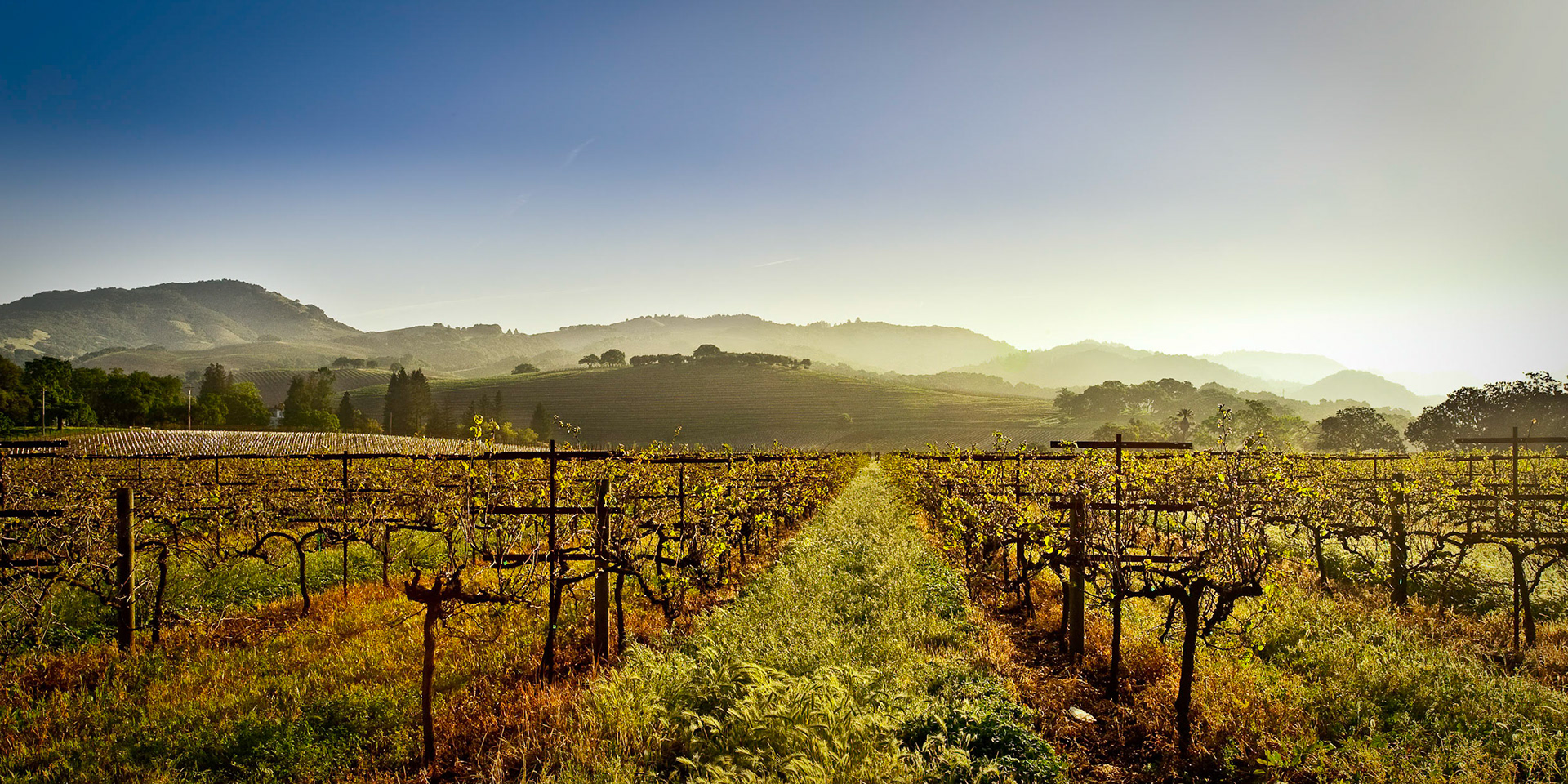 Under the Tuscan Sky?