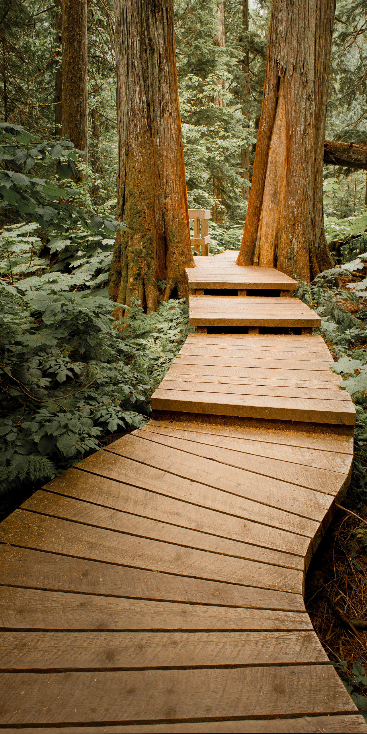 Boardwalk