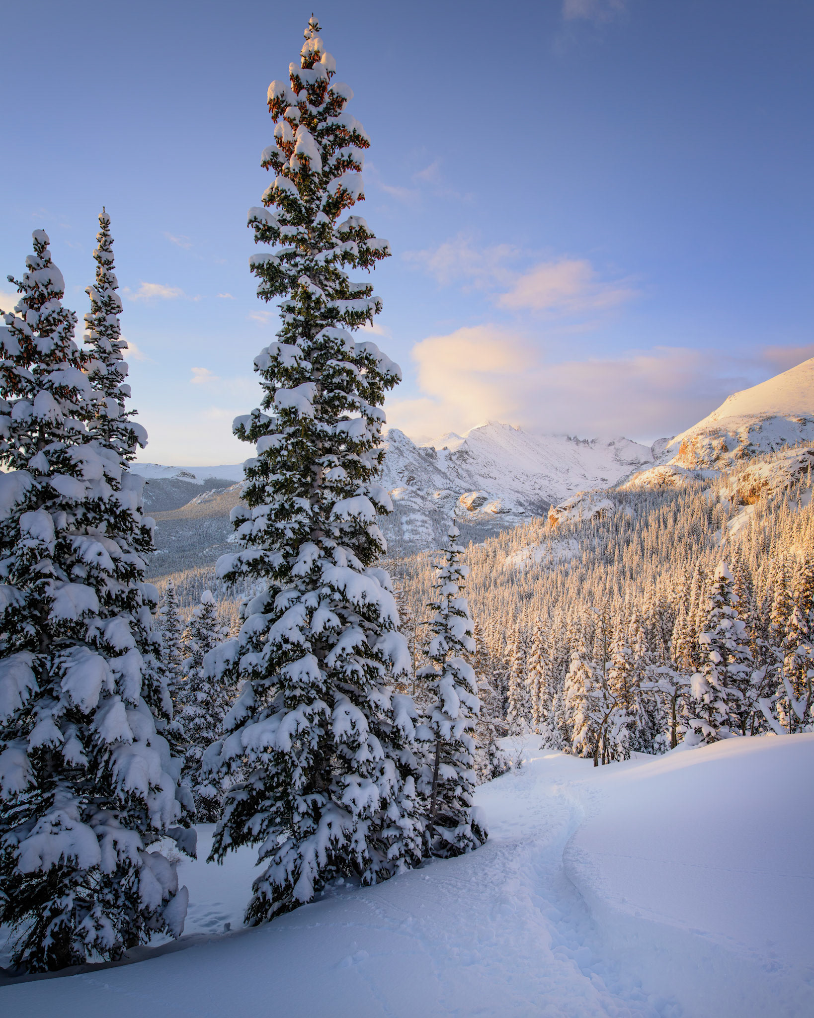 Fresh Tracks