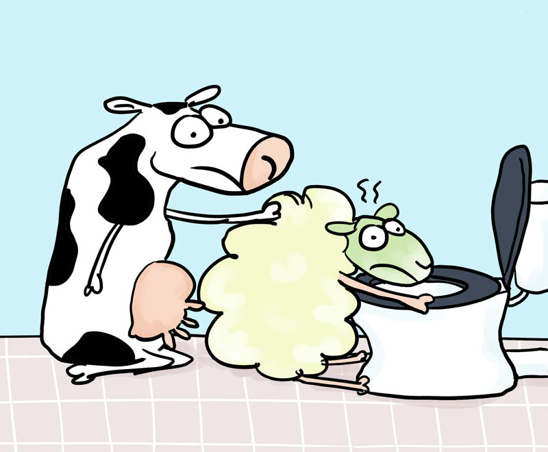 Illustration for a sign that warns people not to feed the animals. Client: Stad & Natuur Almere