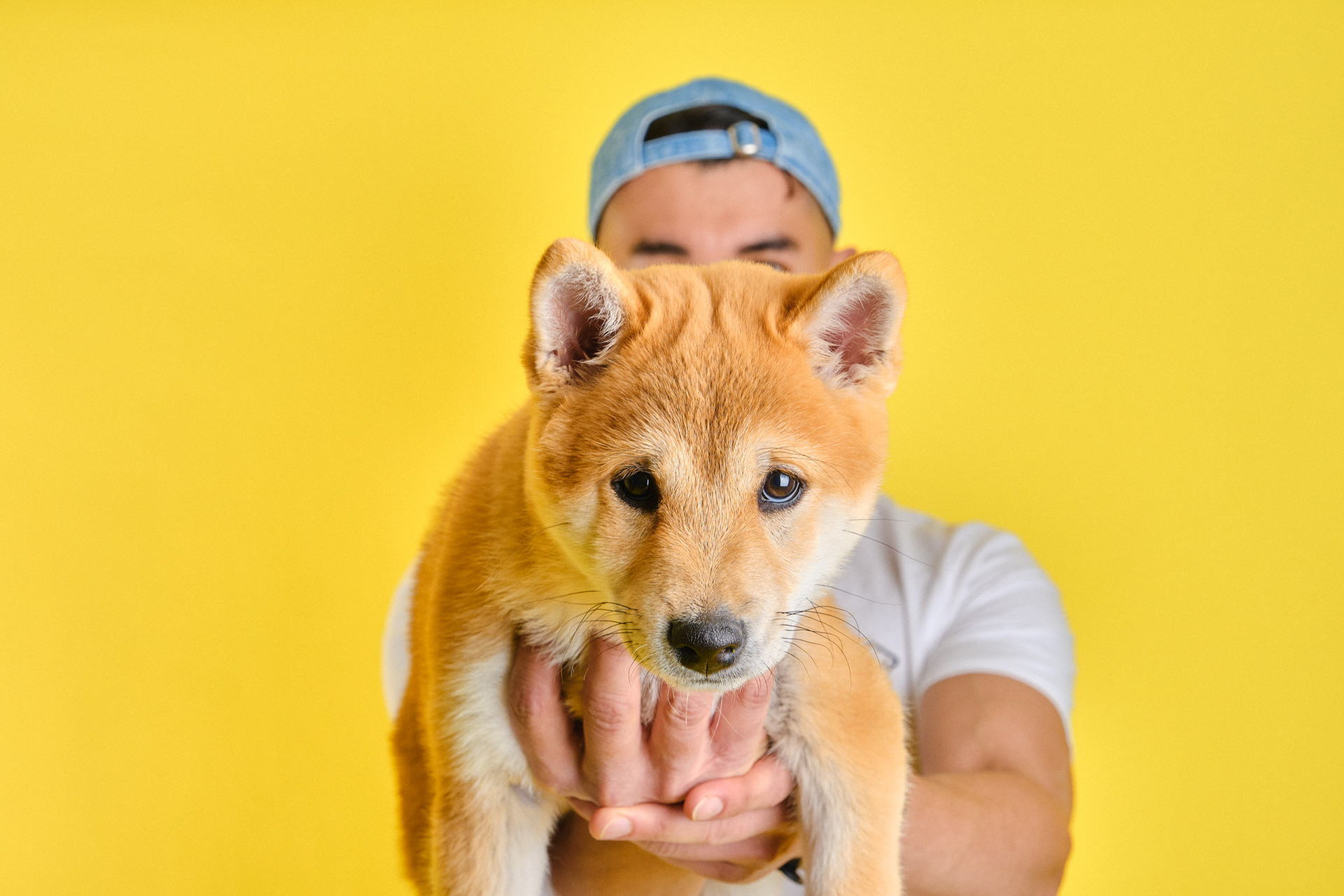 Kiba