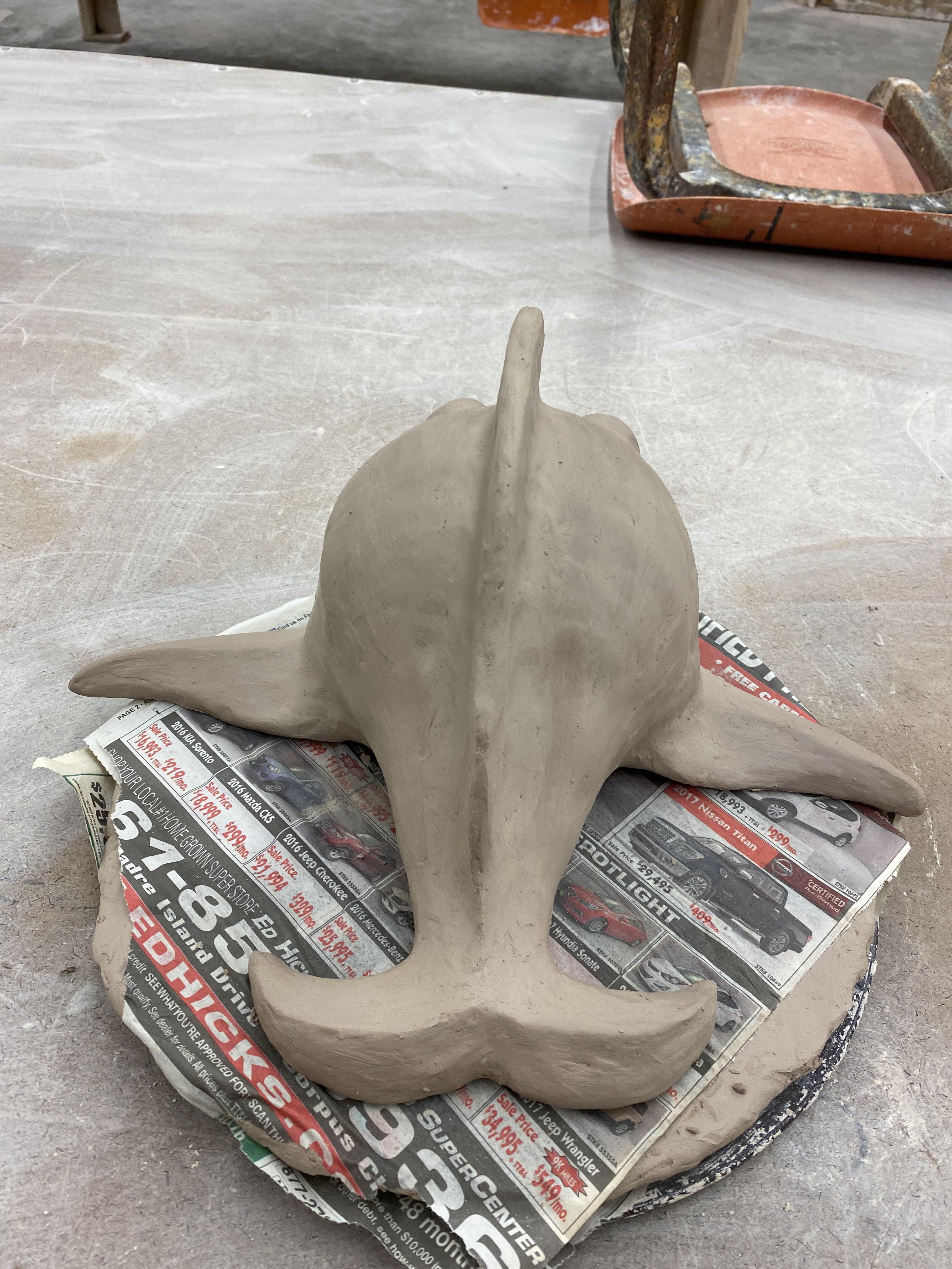 Soft Slab Fish, Back