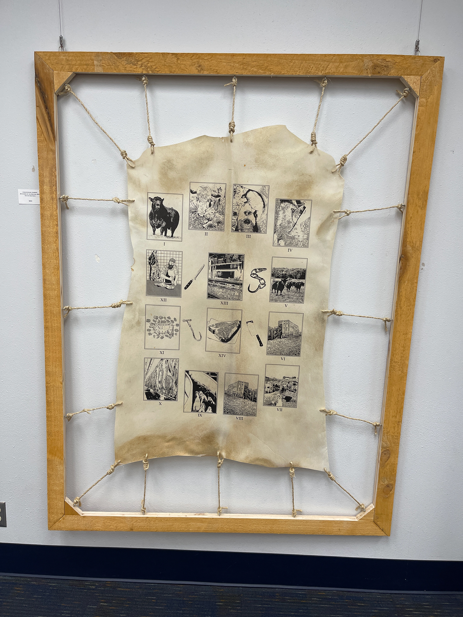 Stations of the Bovine, Goatskin in Tanning Rack