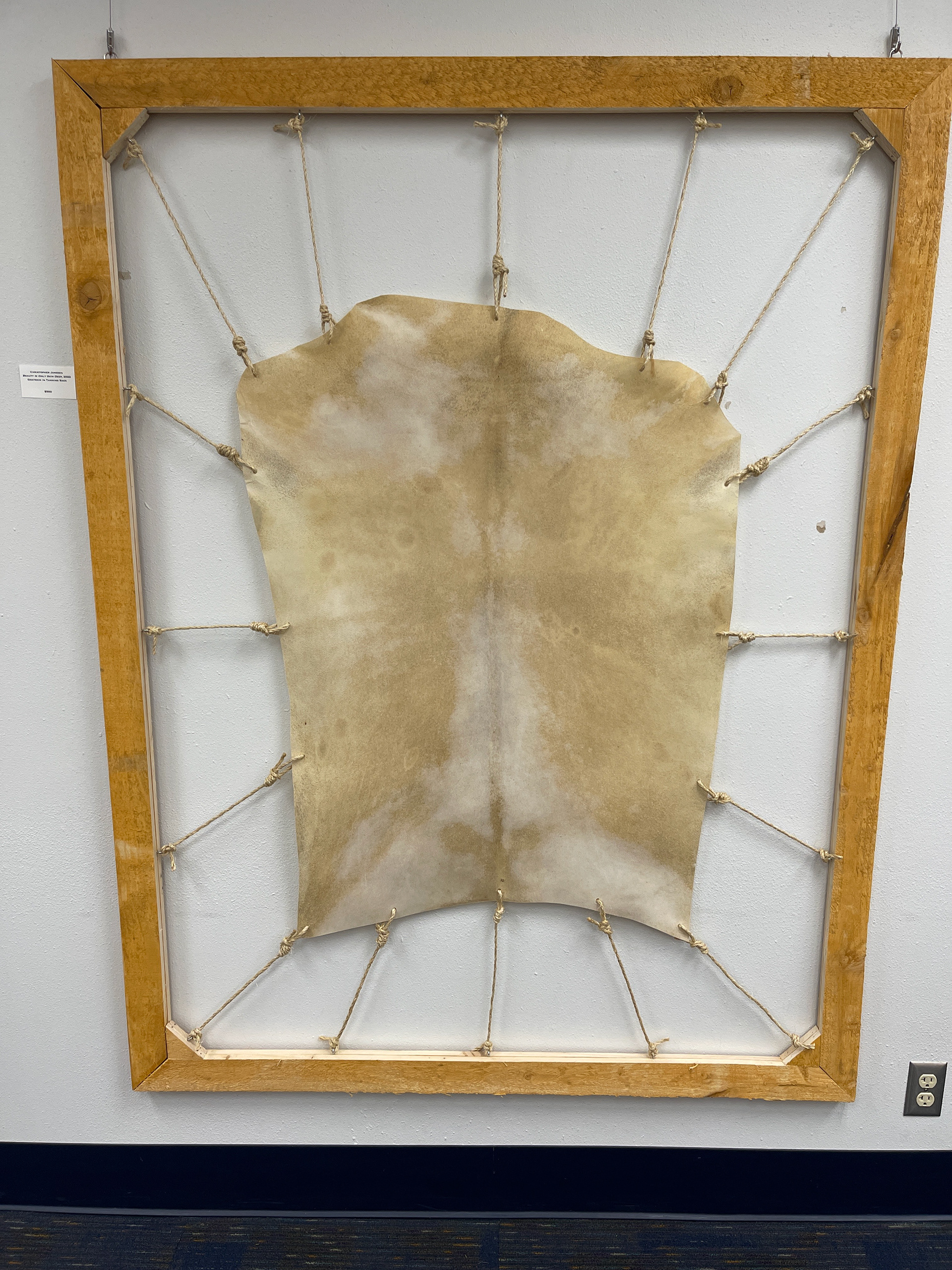 Beauty is Only Skin Deep, Goatskin in Tanning Rack