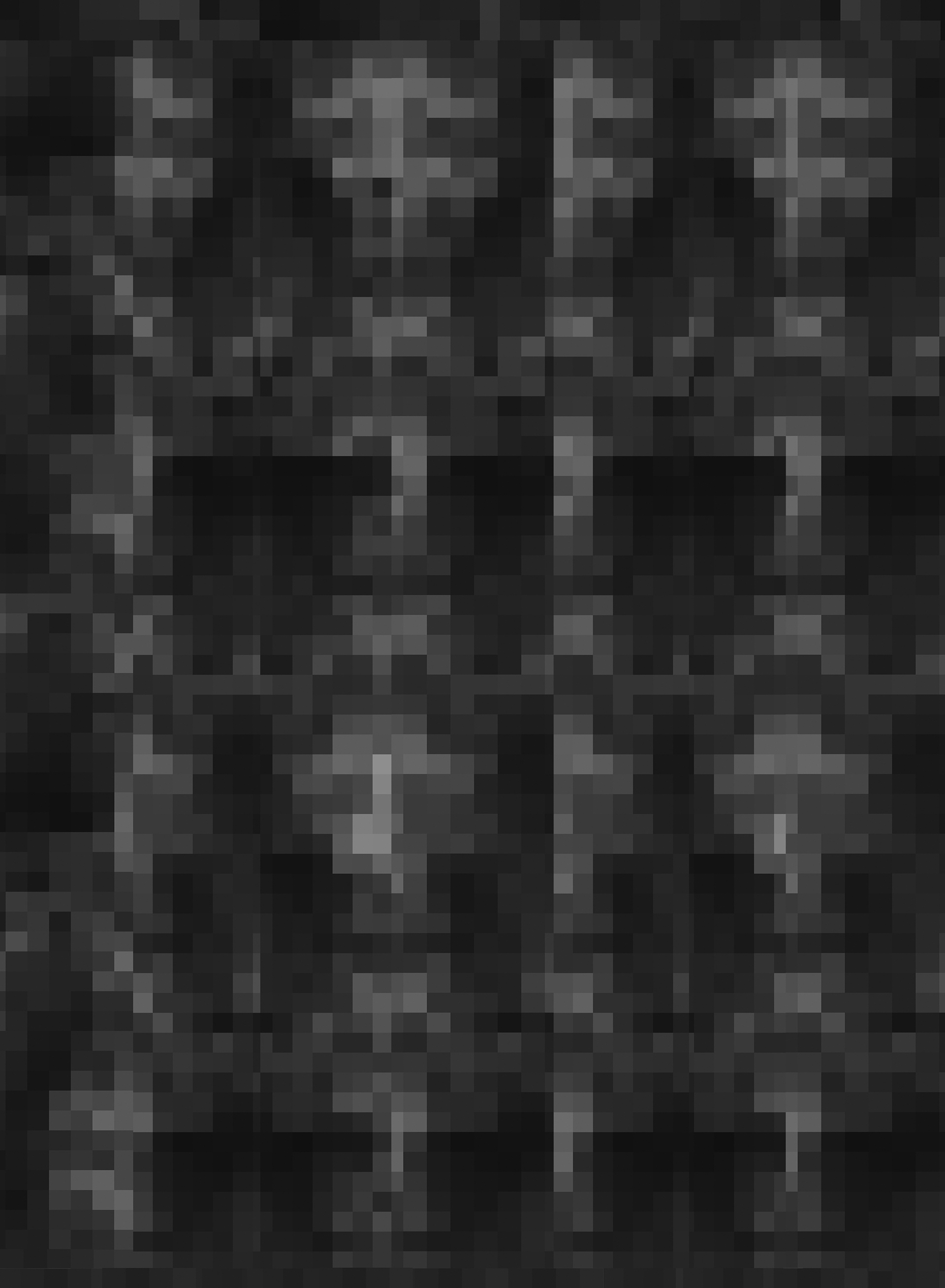 Background, Tiled and Pixelated "Selfies"