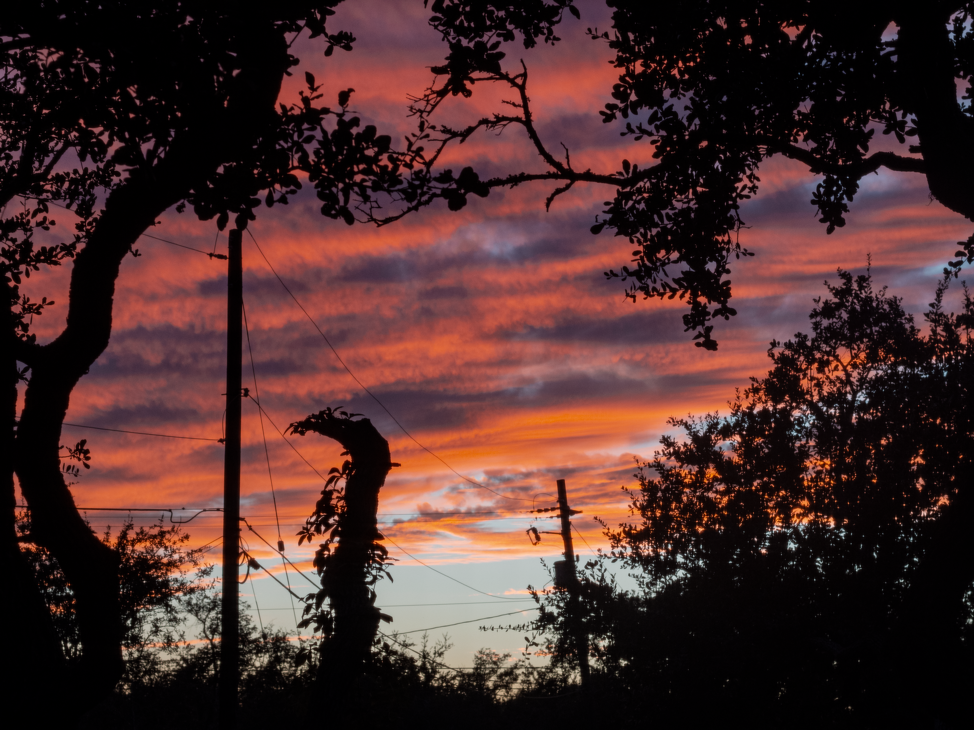 Deep Depth of Field and Silhouette