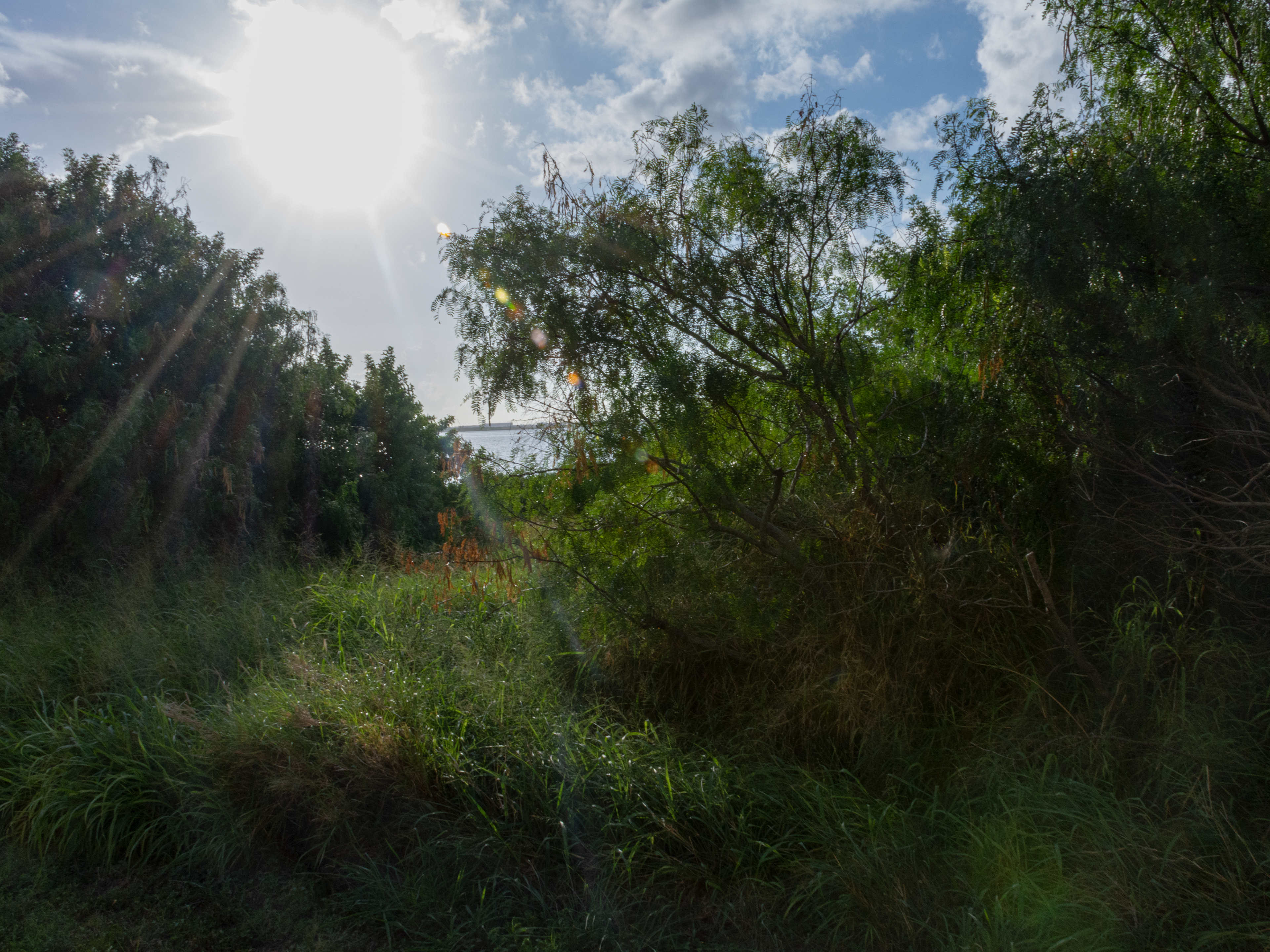 Deep Depth of Field