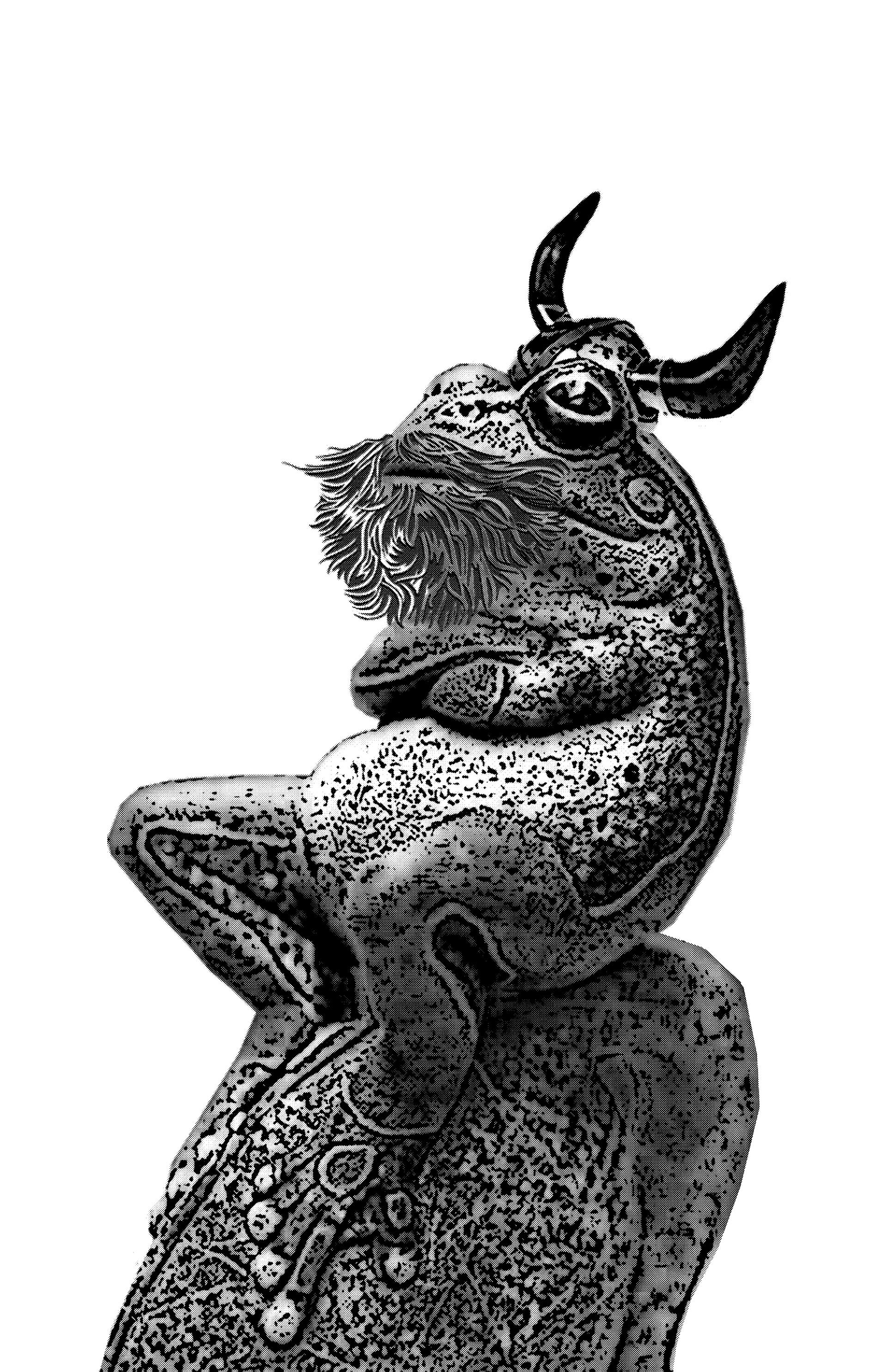 The Bearded Bullfrog