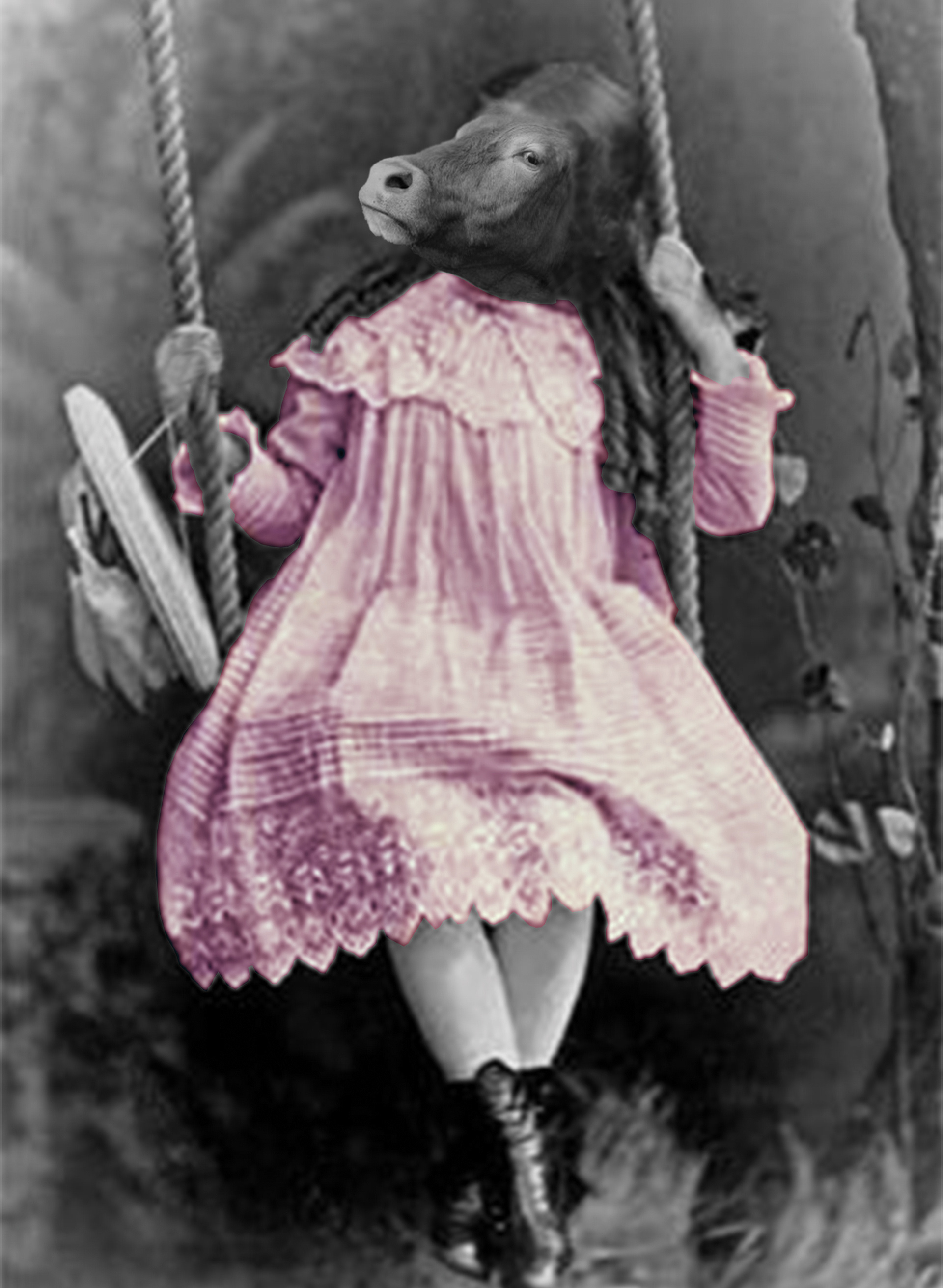 Portrait of a Young Calf