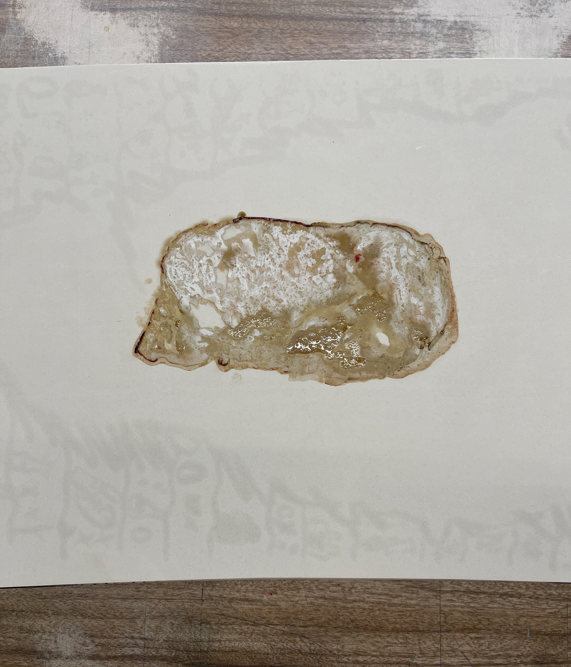 Grease impression left from a prime ribeye on a litho stone for a few days