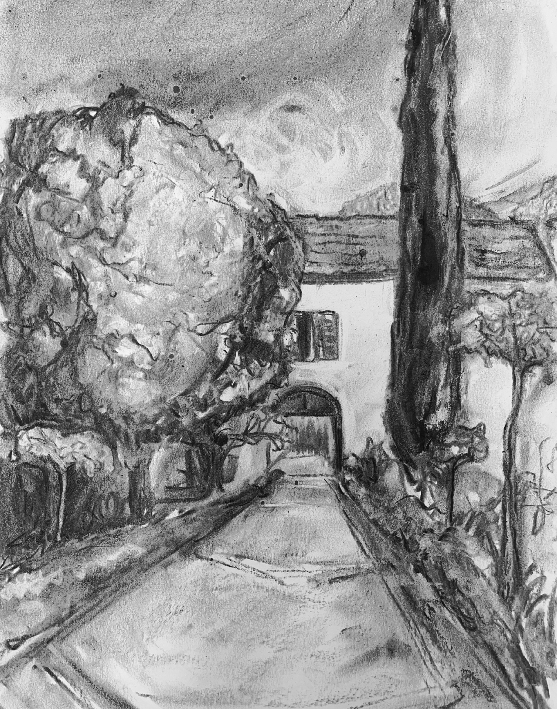 Charcoal