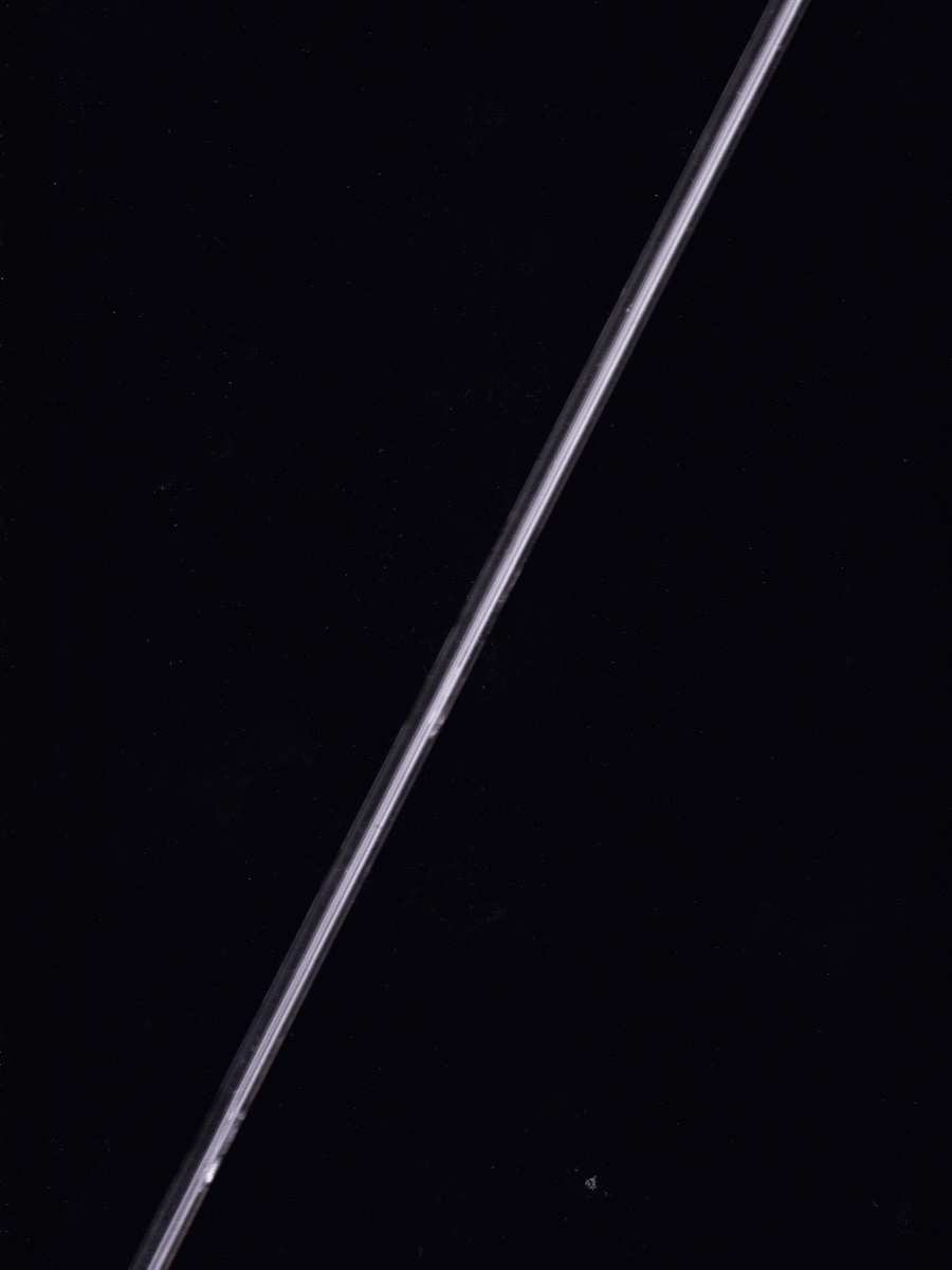 Example of scan print by Andreas Gärtner