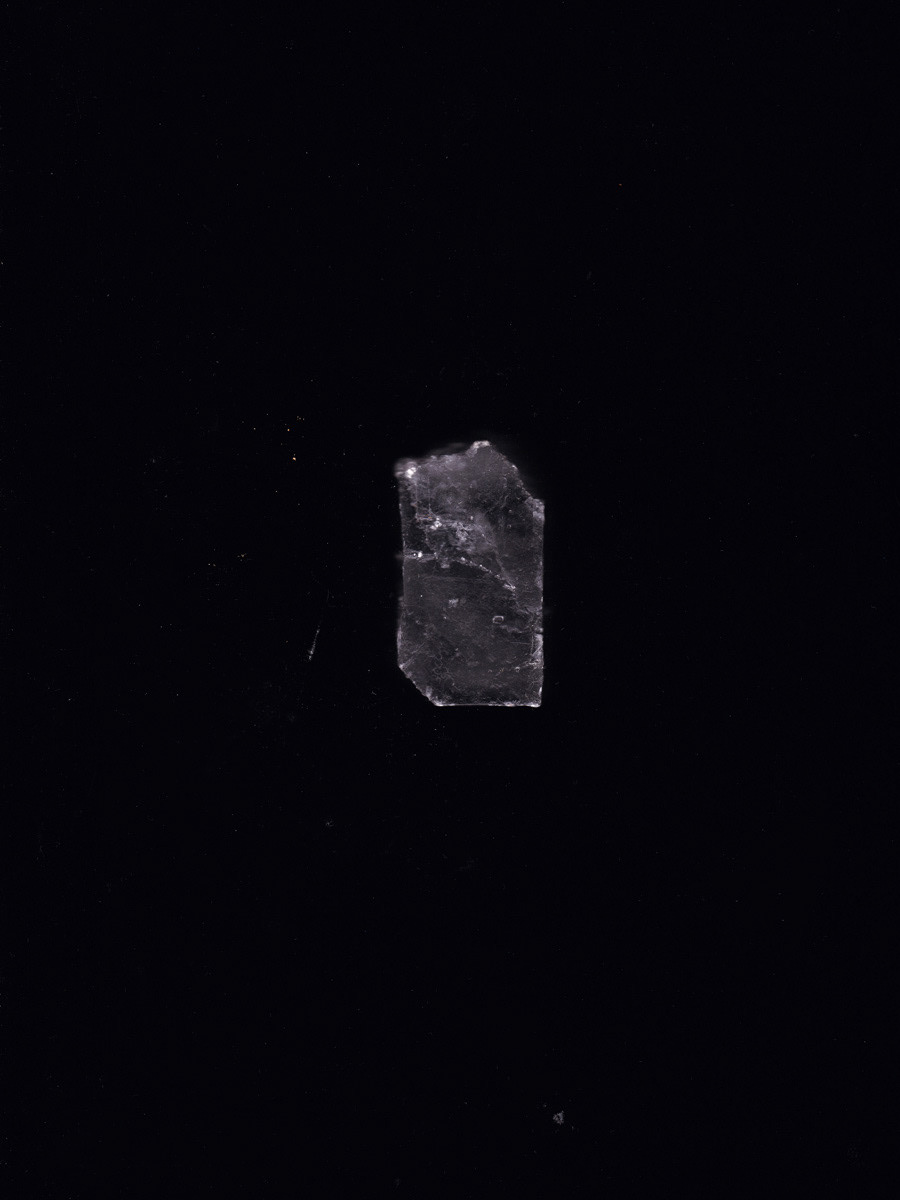 Example of scan print by Andreas Gärtner