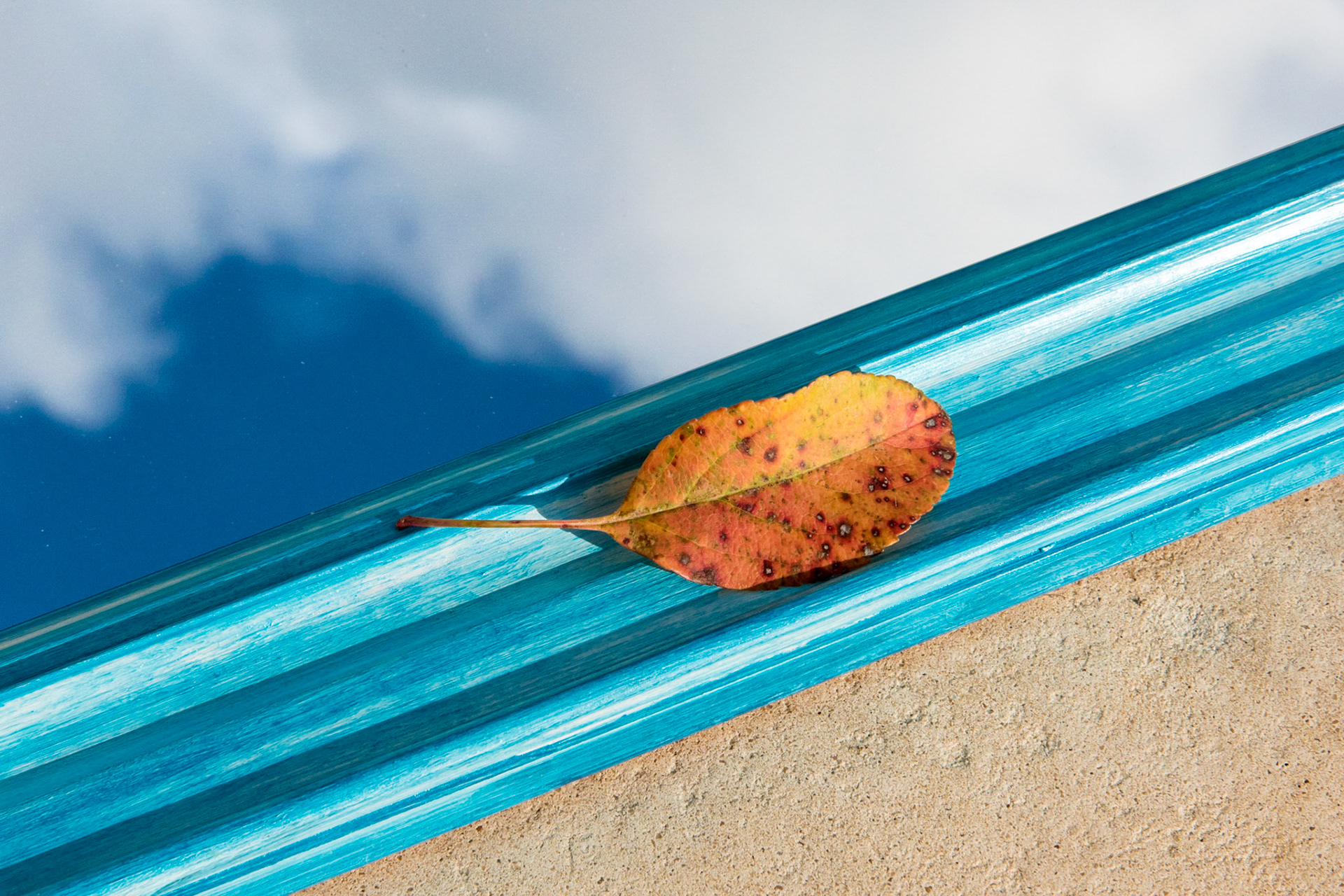 Bleu d’automne
