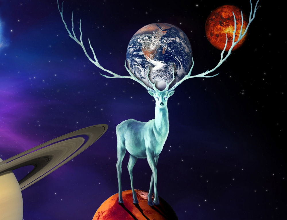 Cerf de lumiére