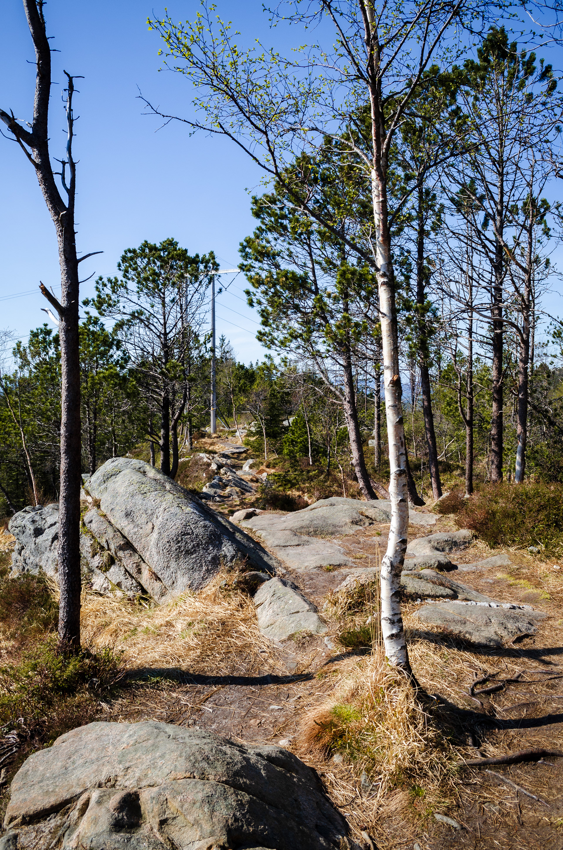 27.04. - Einer unserer Wanderwege