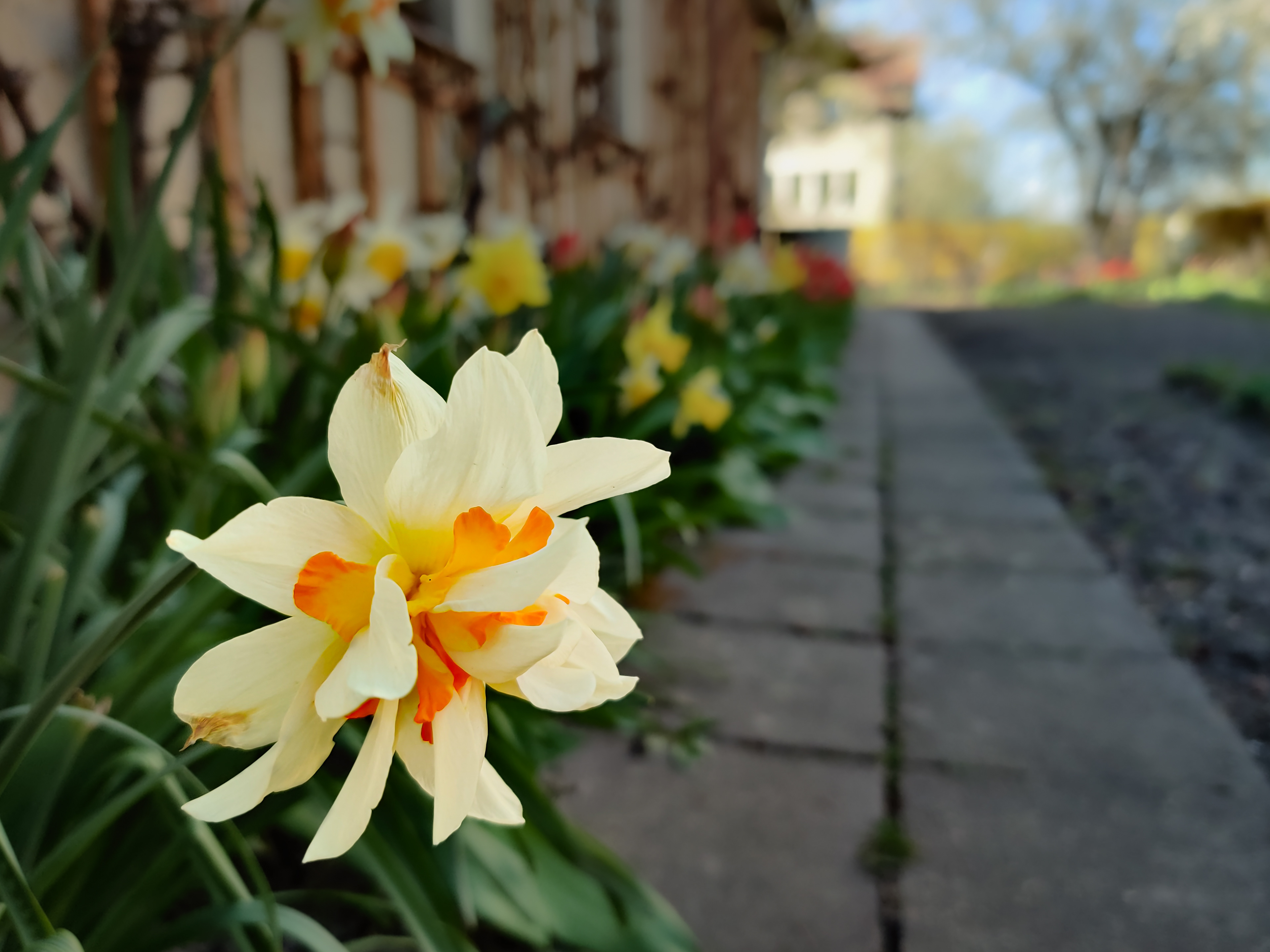 16.04. - Der Frühling ist im vollen Gange
