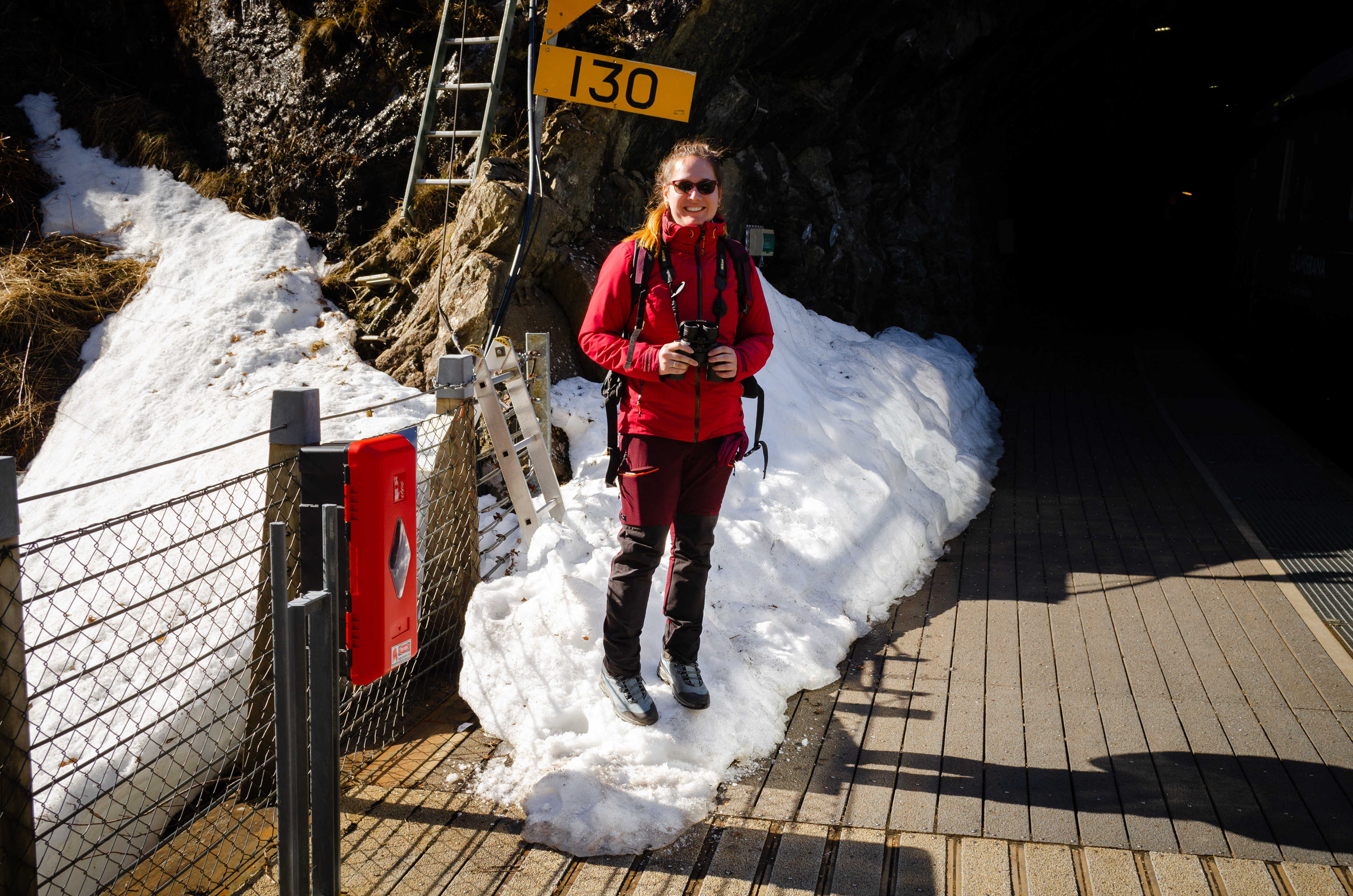 01.05. - Eule im Schnee!
