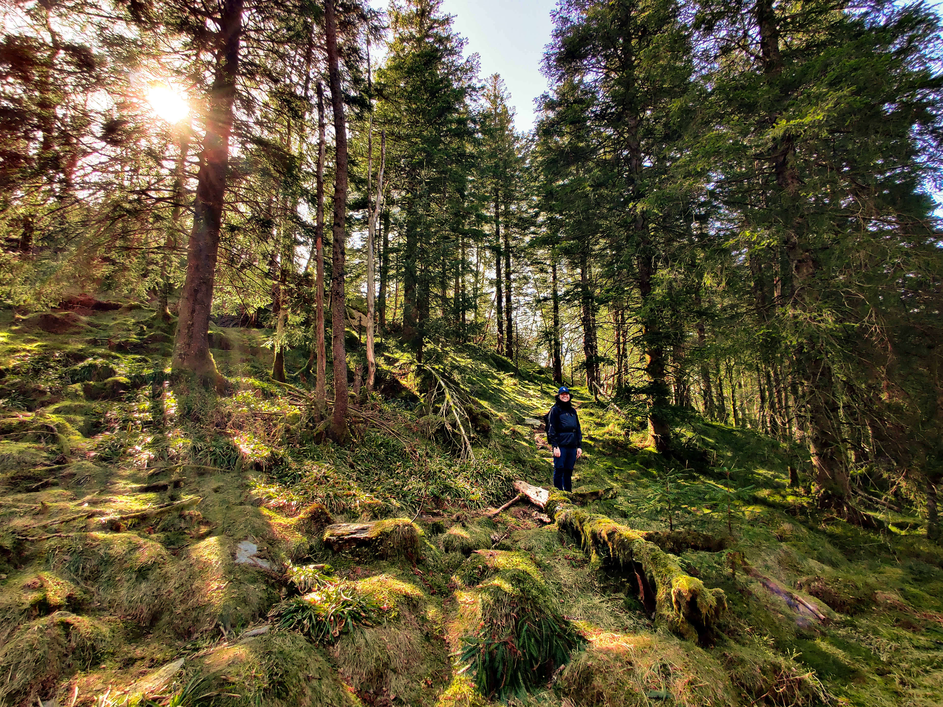 27.04. - Mitten im Wald, aber es war schön