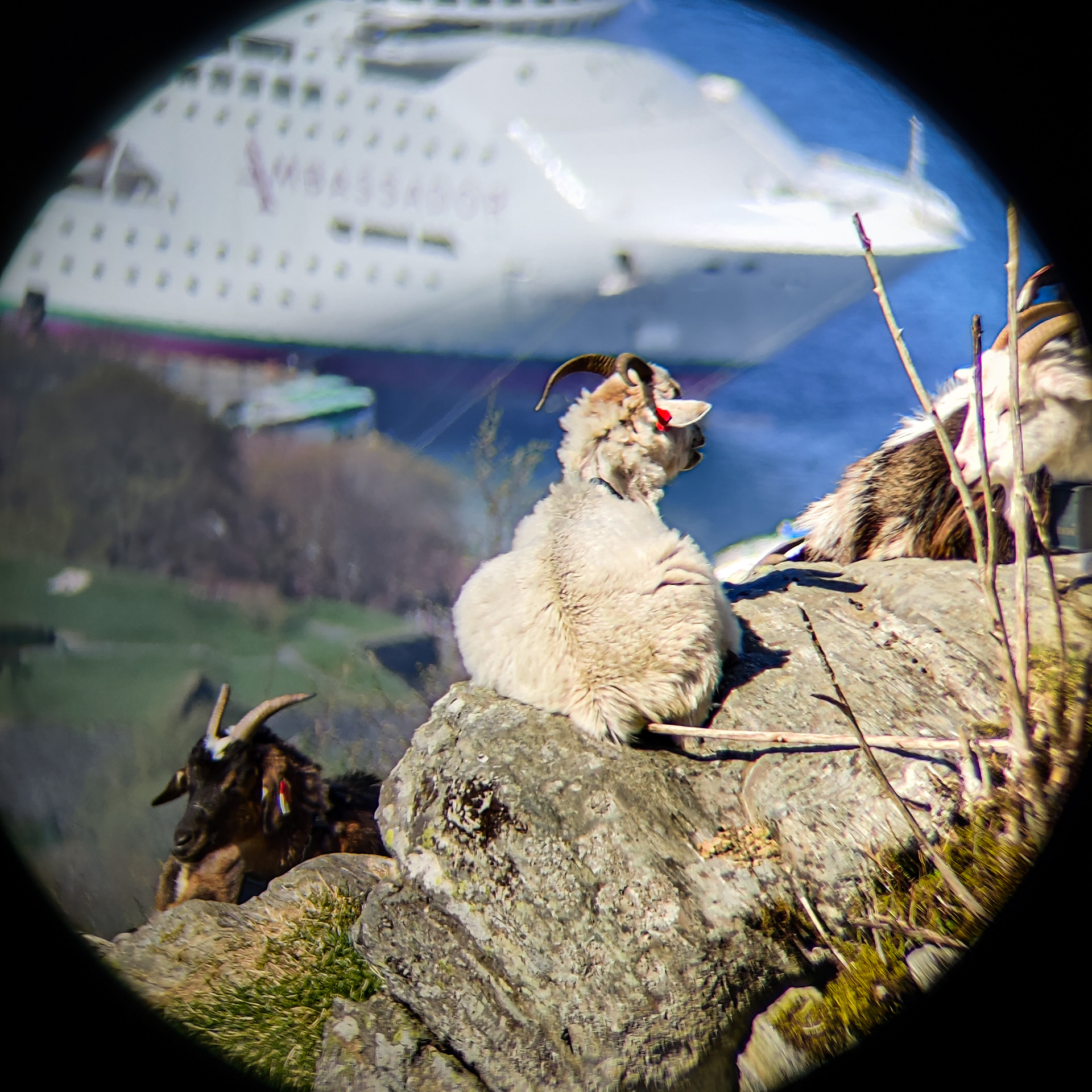 27.04. - Wir haben alles im Blick!