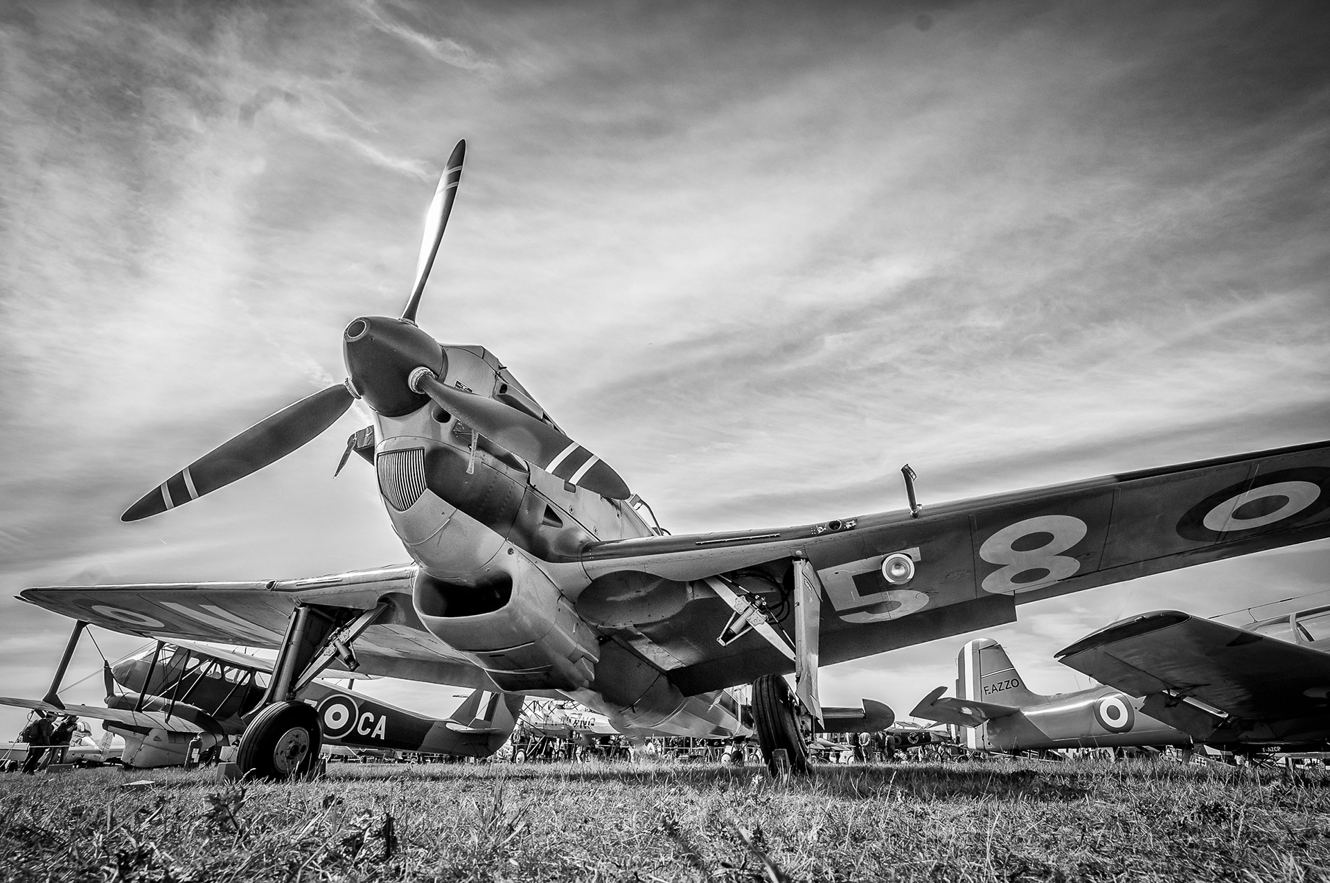 MS-406