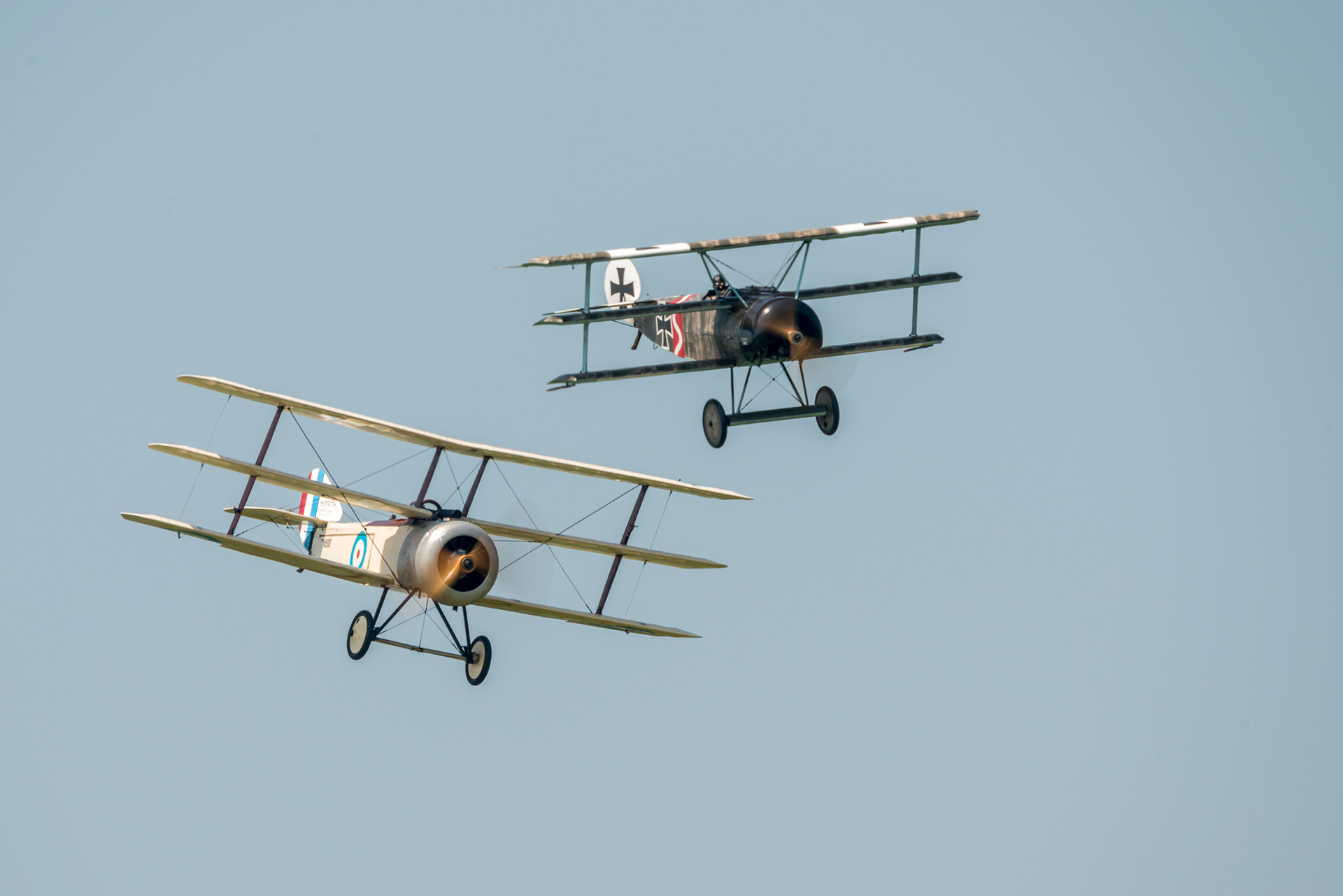 Foker D-3 et Sopwith Triplane