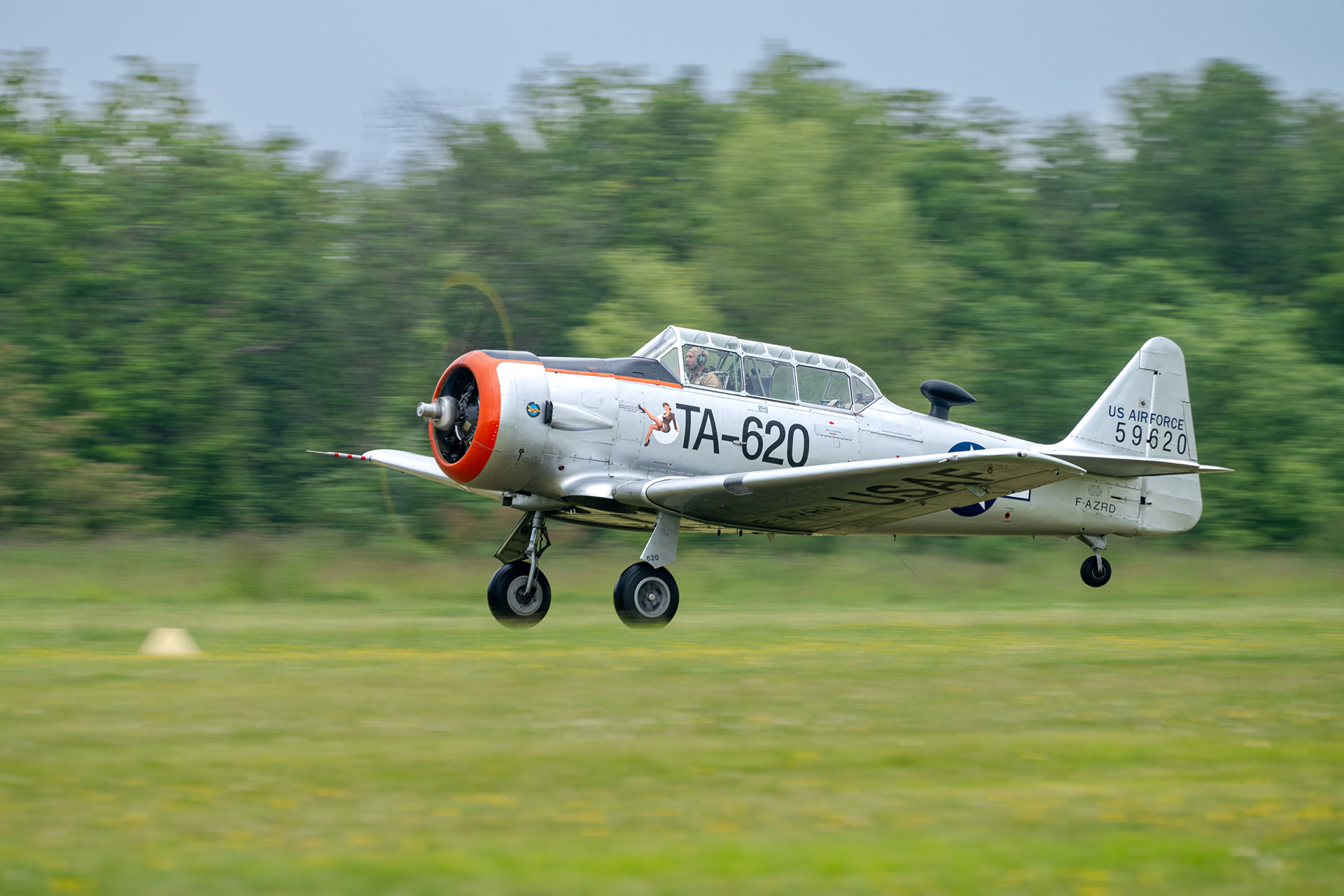 T-6