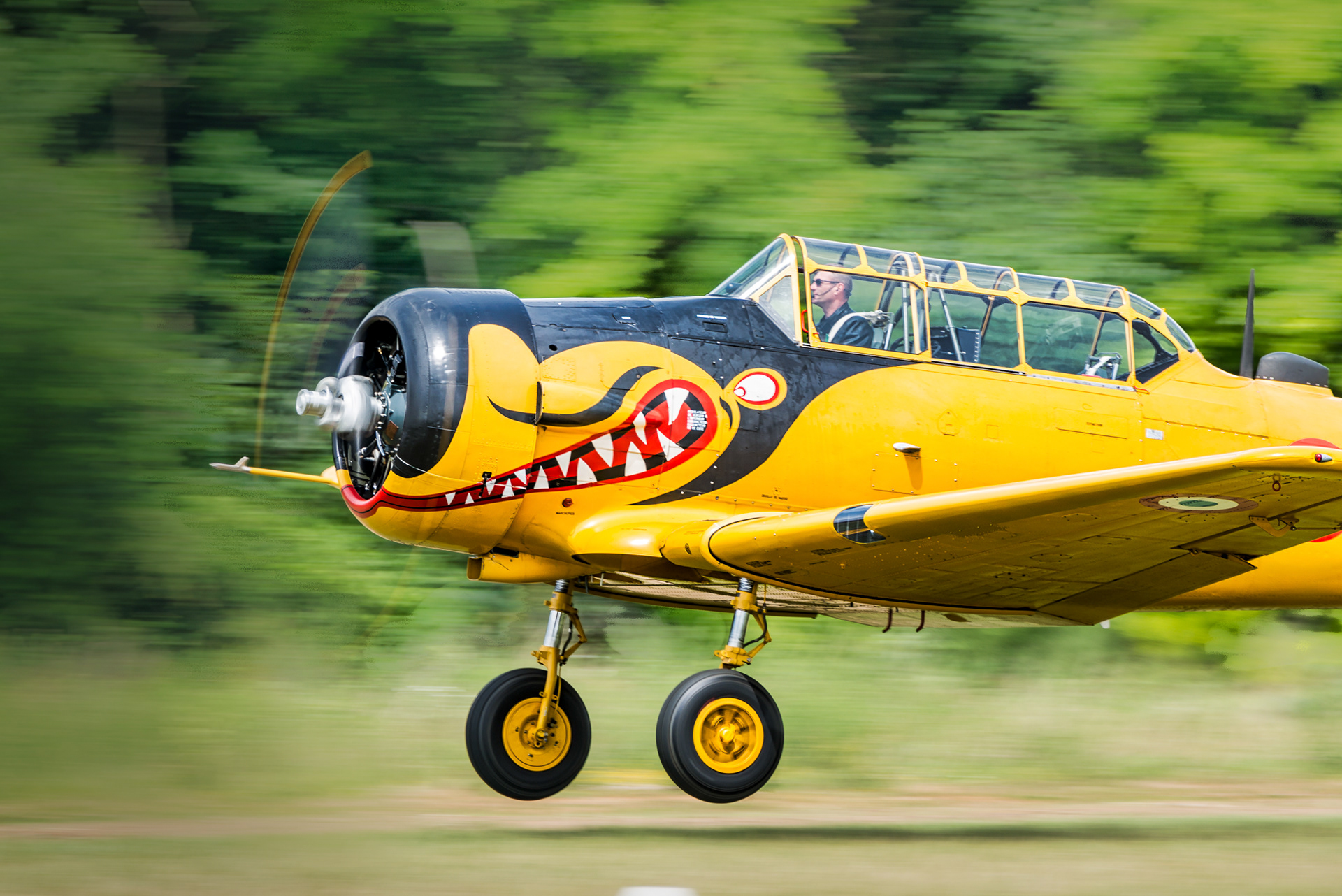 T-6