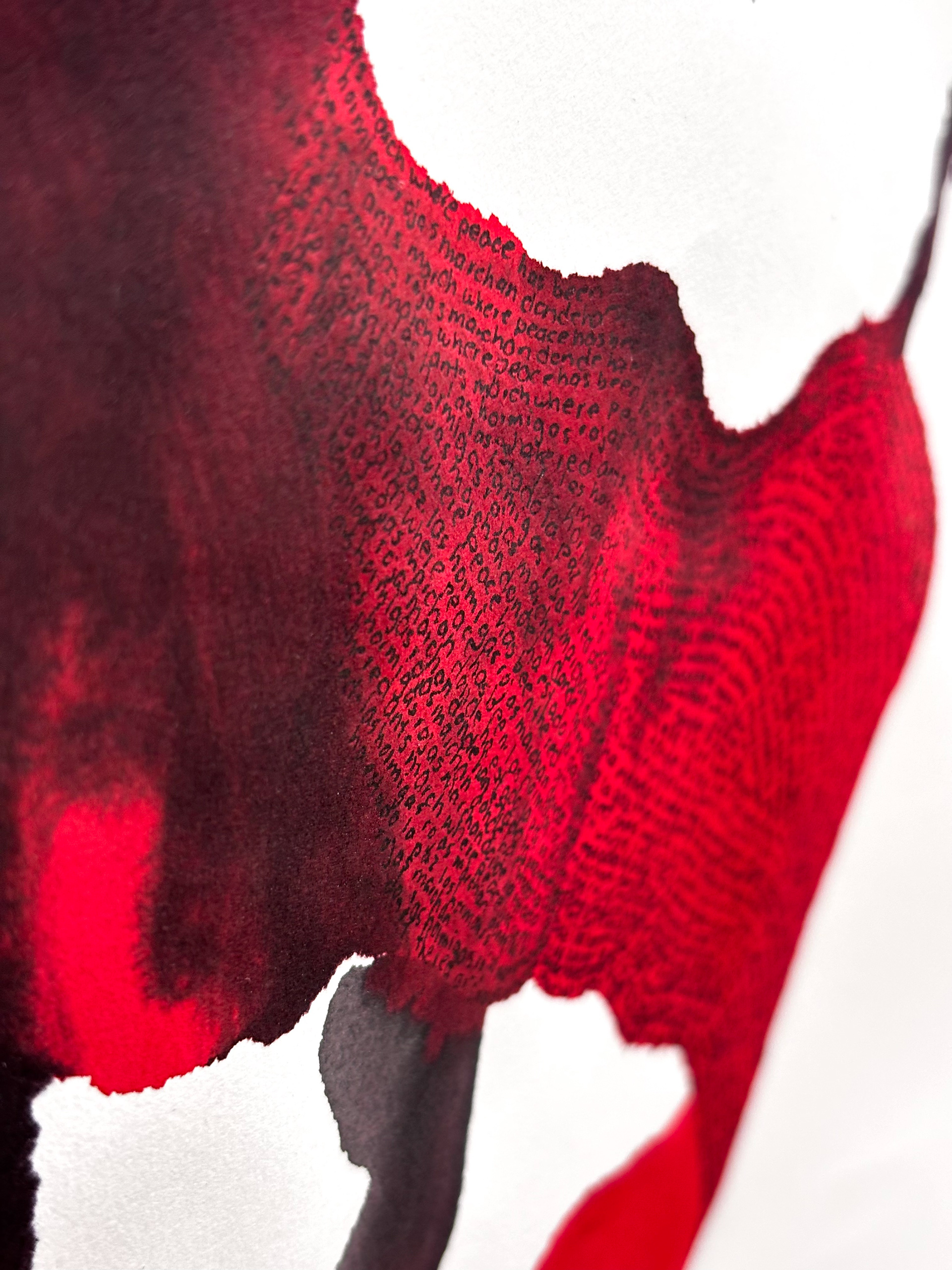 Close Up Ant Luck, Black and Red Ink, Pen, 26 ×40", 2024