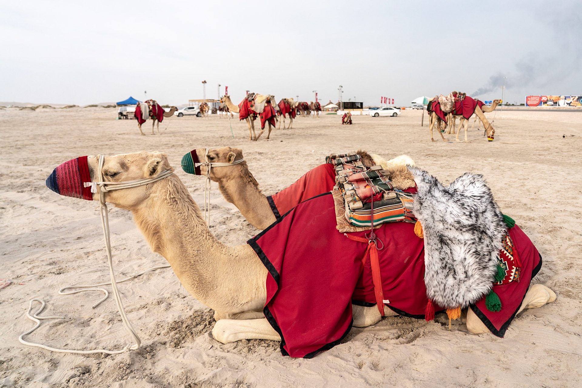 South of Doha
