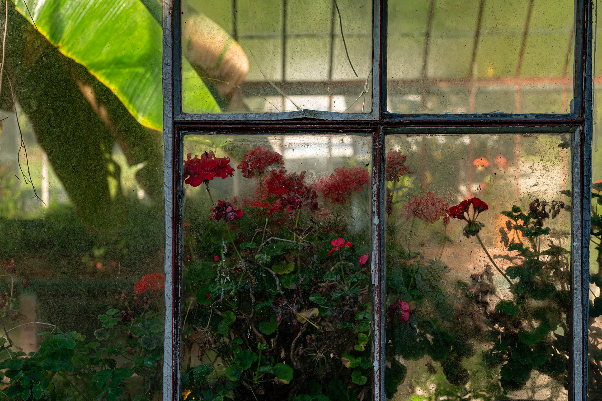 Jardin du Chateau De Quineville