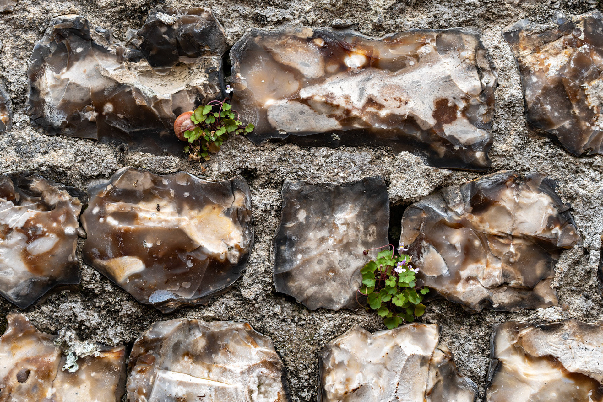 Les Maisons de Normandie