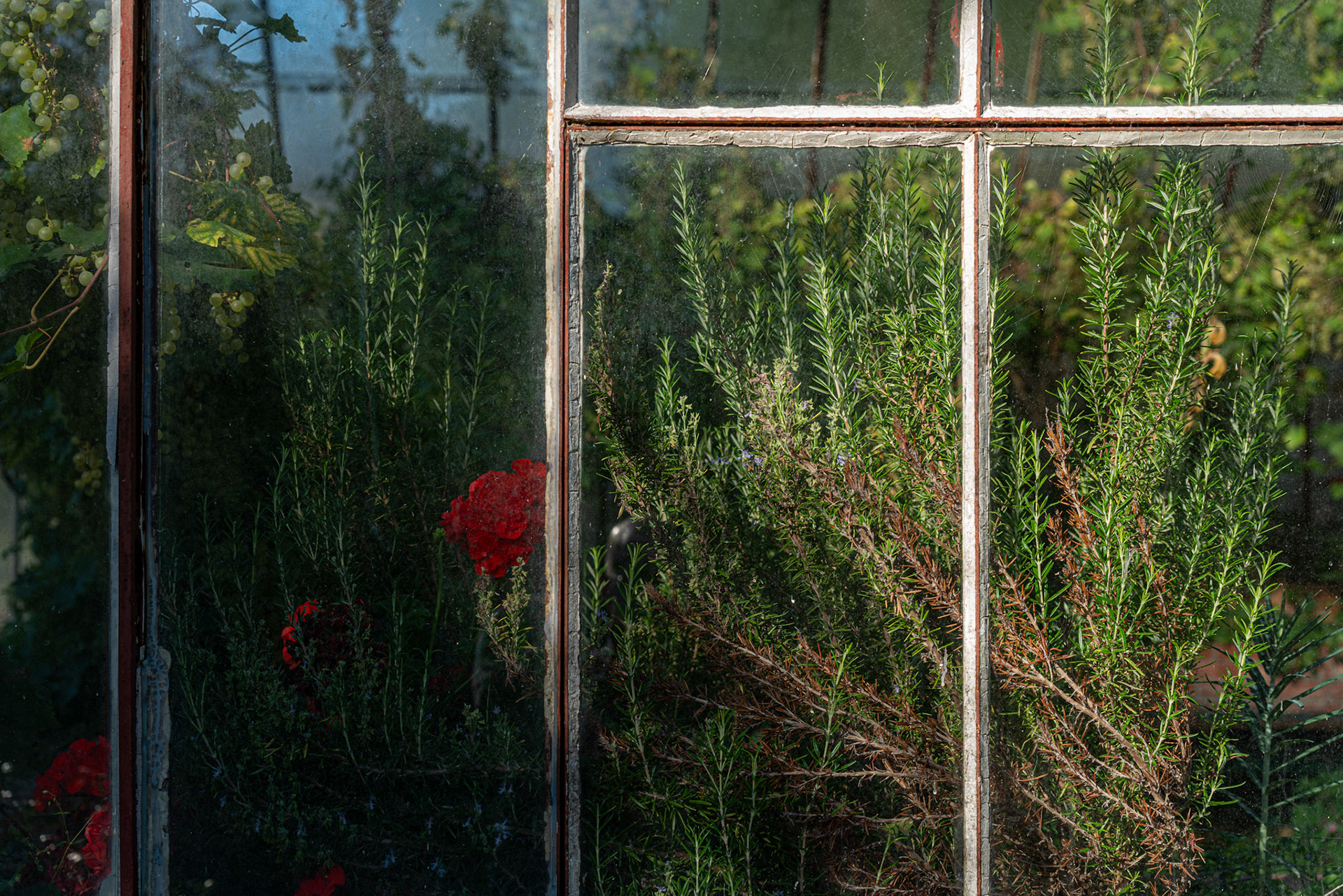 Jardin du Chateau De Quineville