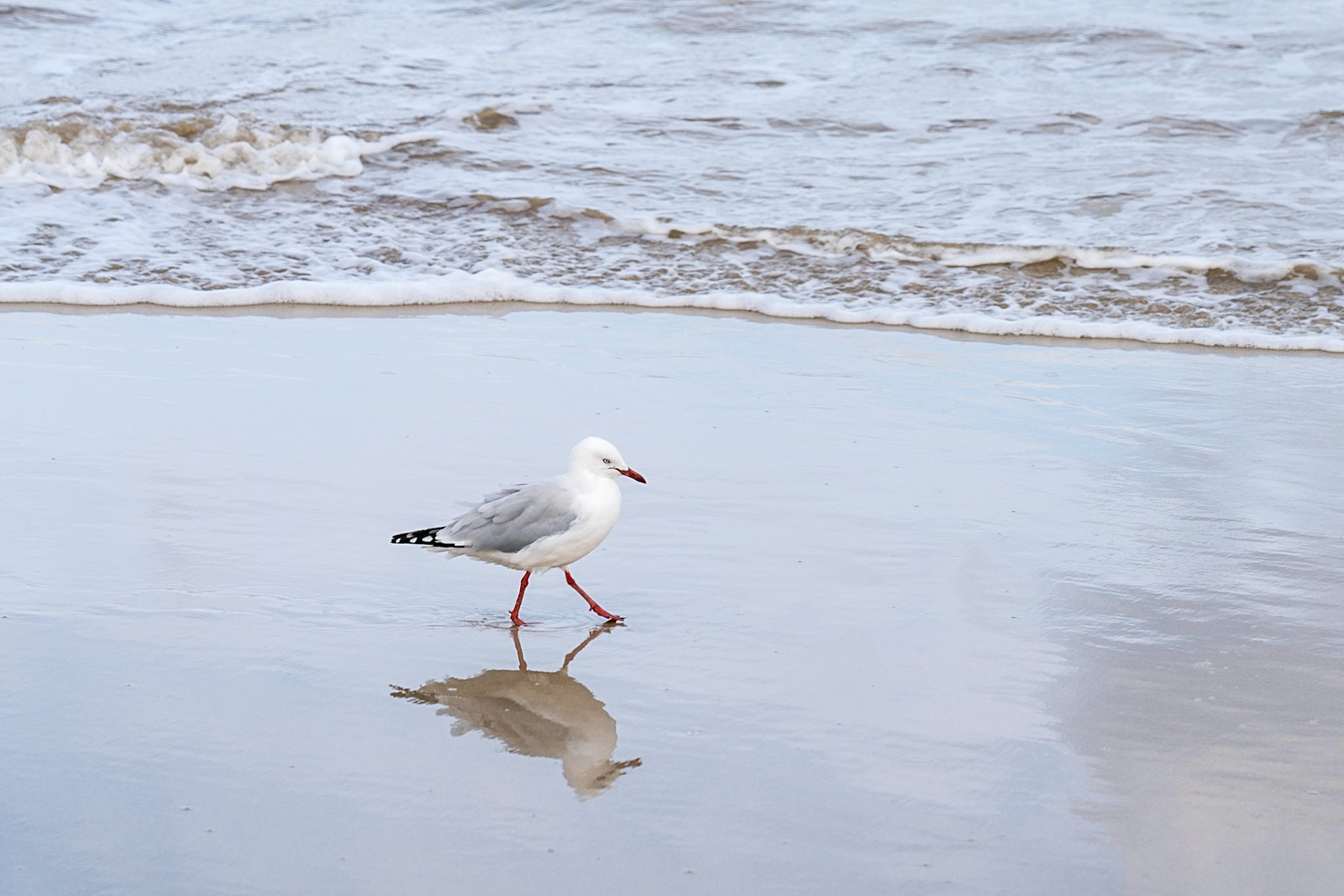 Wilsons-Promontory-Nationalpark